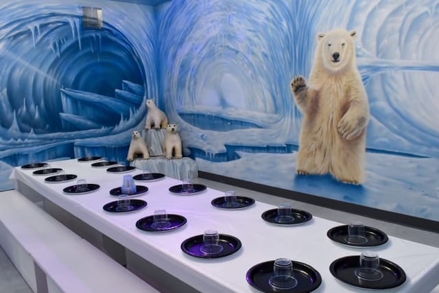 Ice Room Themed Room