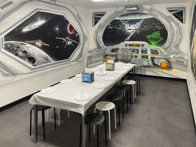 Space Room Themed Room