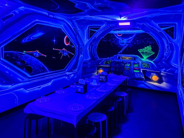 Space Room Themed Room
