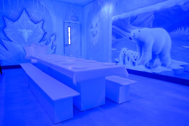Ice Room Themed Room