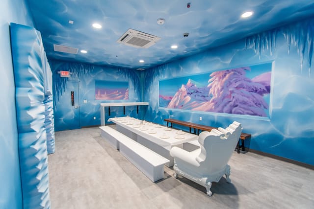 Ice Room Themed Room