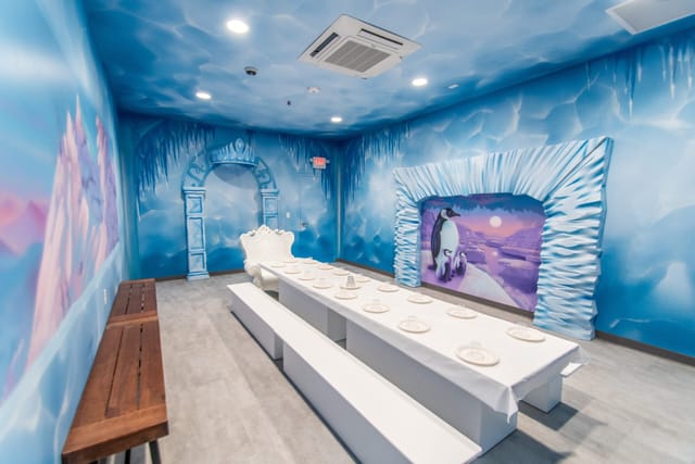 Ice Room Themed Room