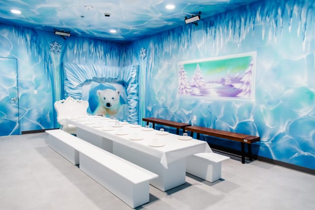 Ice Room Themed Room