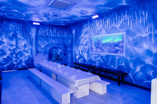 Ice Room Themed Room
