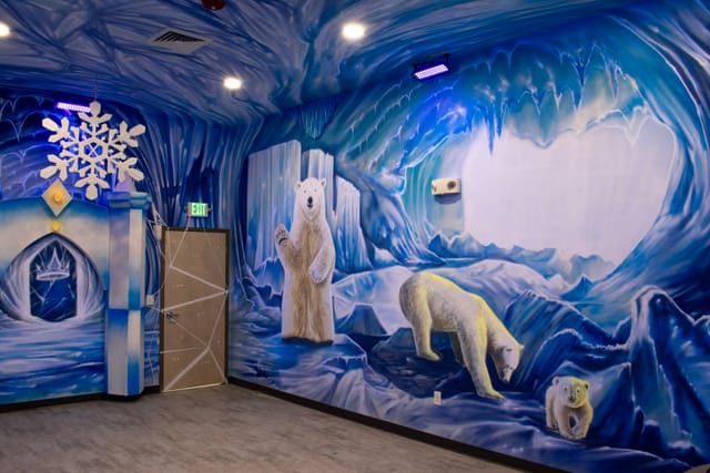 Ice Room Themed Room