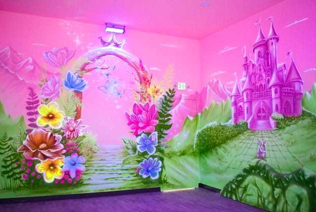 Princess Room Themed Room