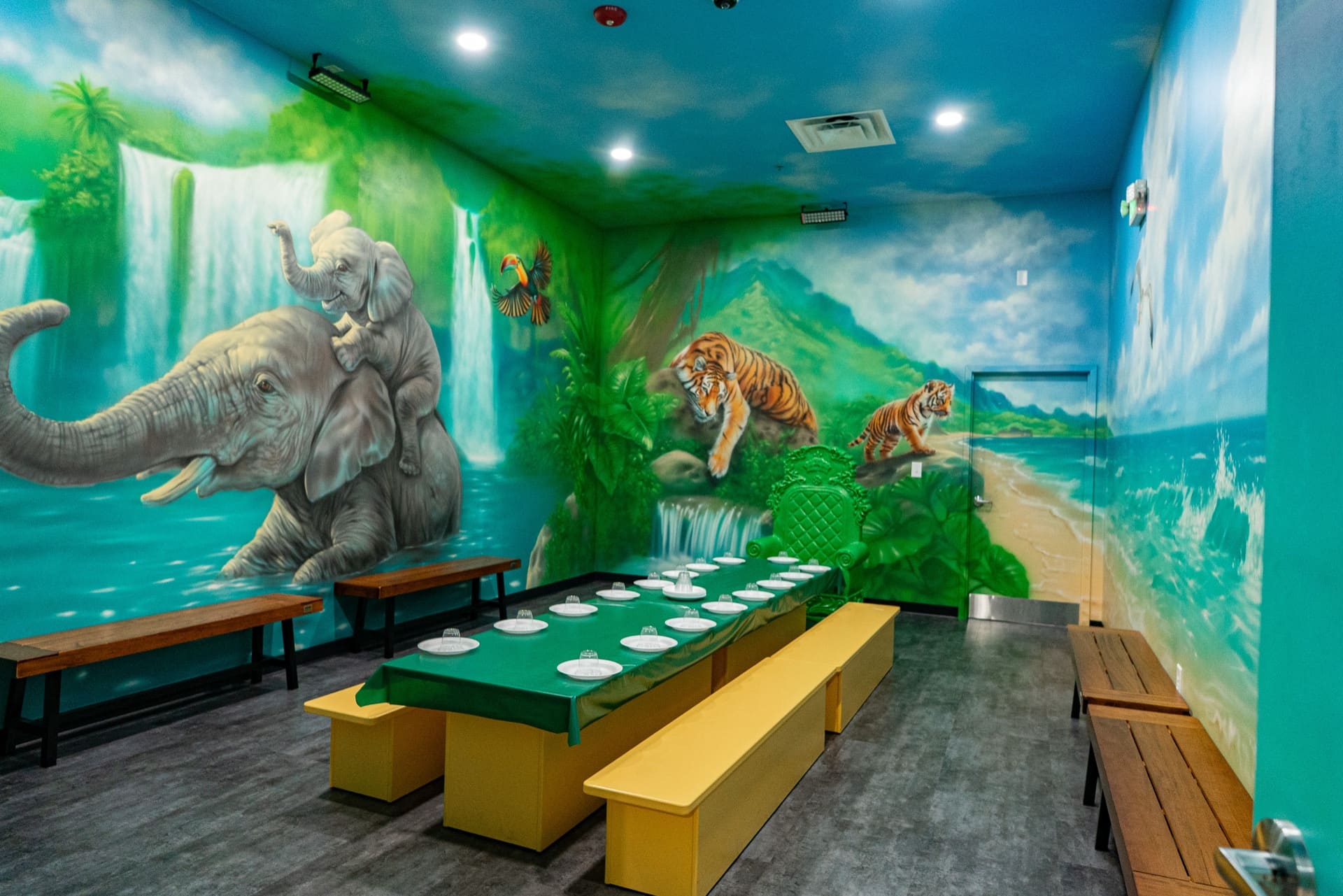 Jungle party room, photo 1 of 8