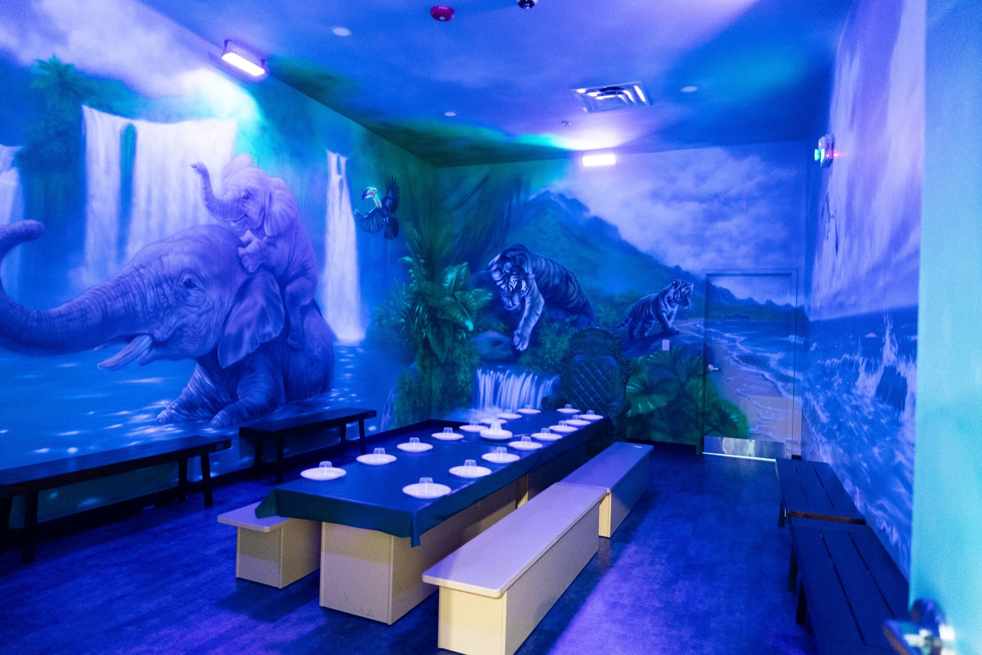 Jungle party room, photo 2 of 8