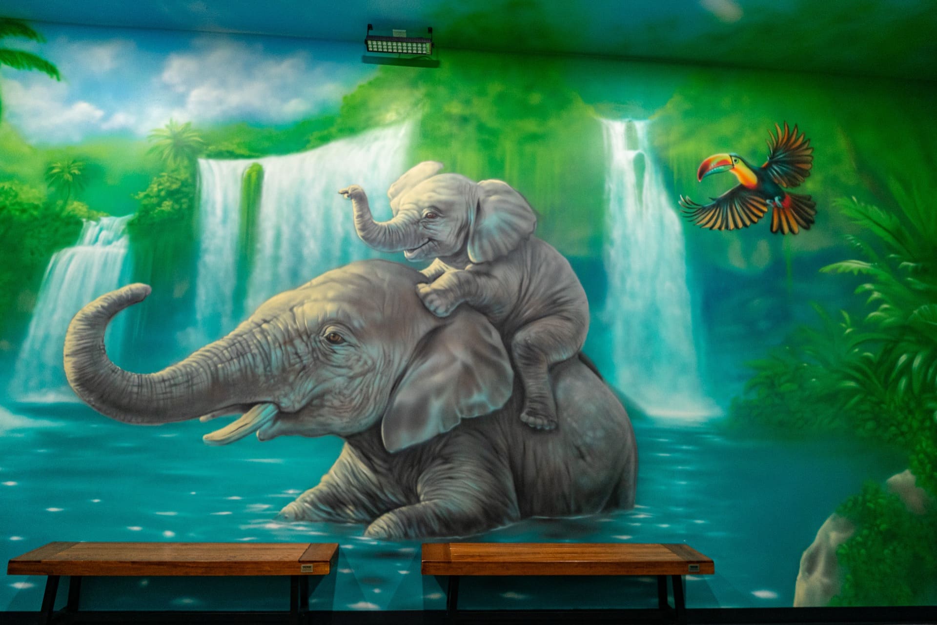 Jungle party room, photo 7 of 8