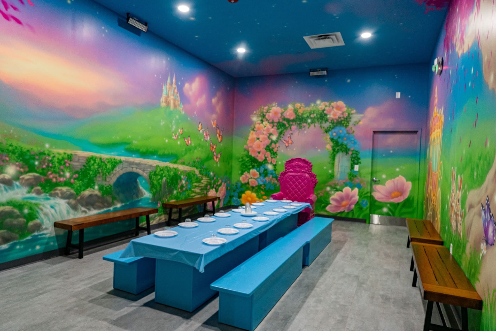 Princess party room, photo 1 of 7