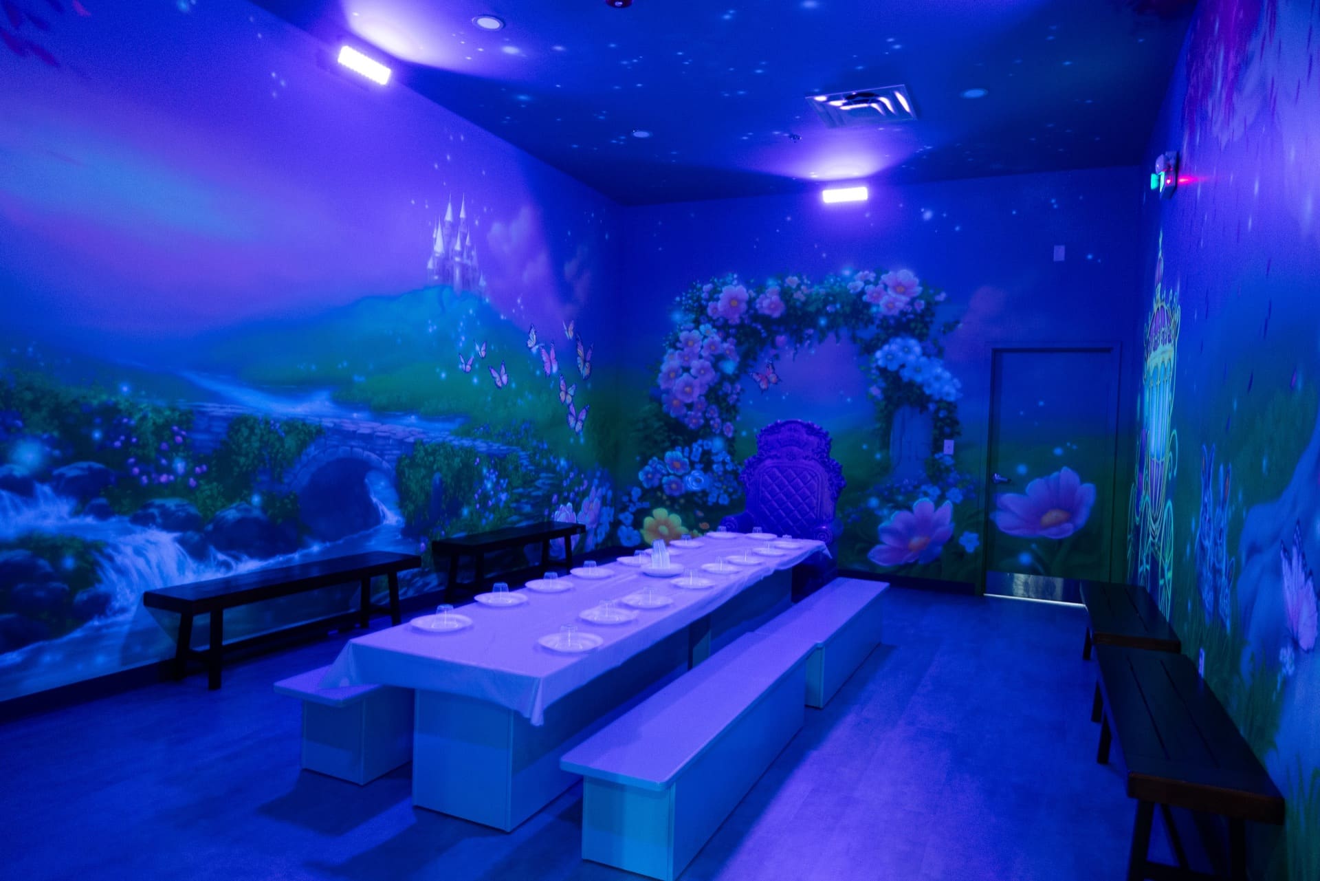 Princess party room, photo 2 of 7