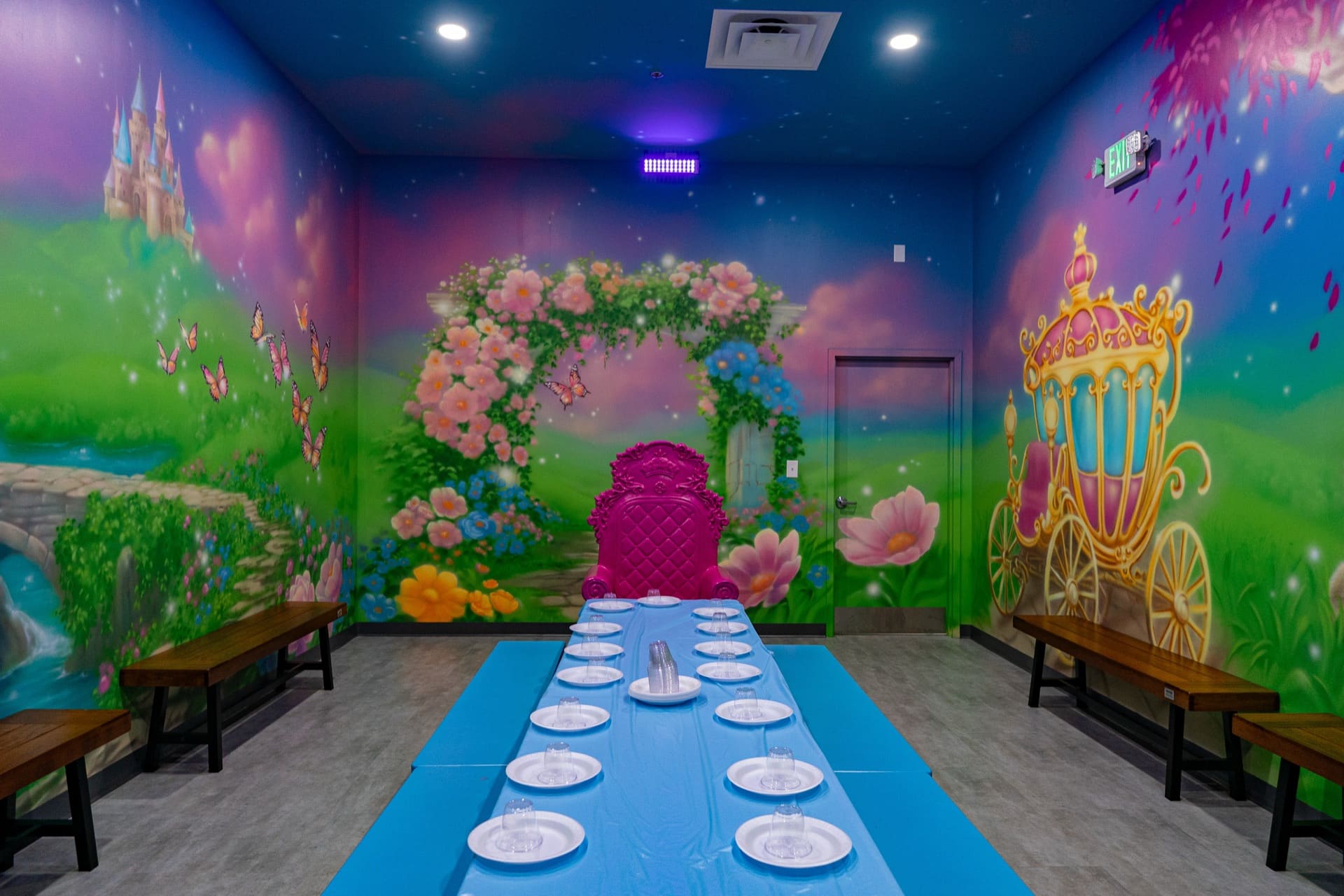 Princess party room, photo 3 of 7