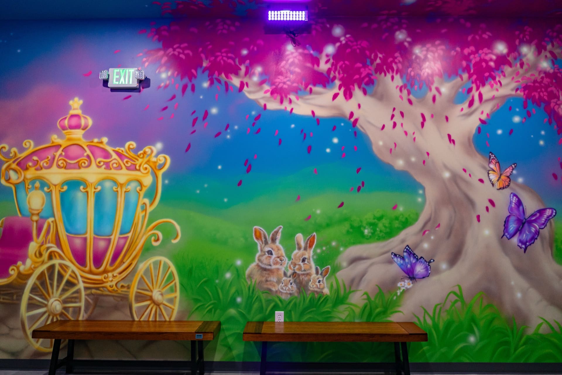 Princess party room, photo 4 of 7