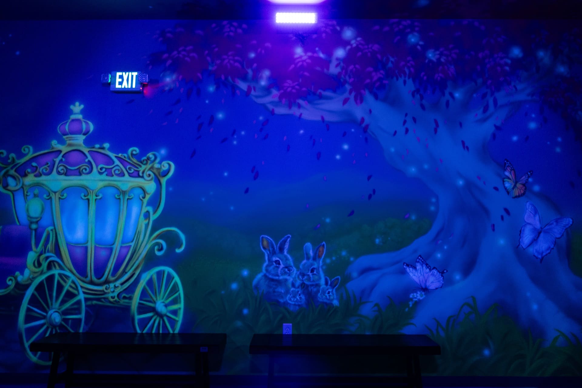 Princess party room, photo 5 of 7