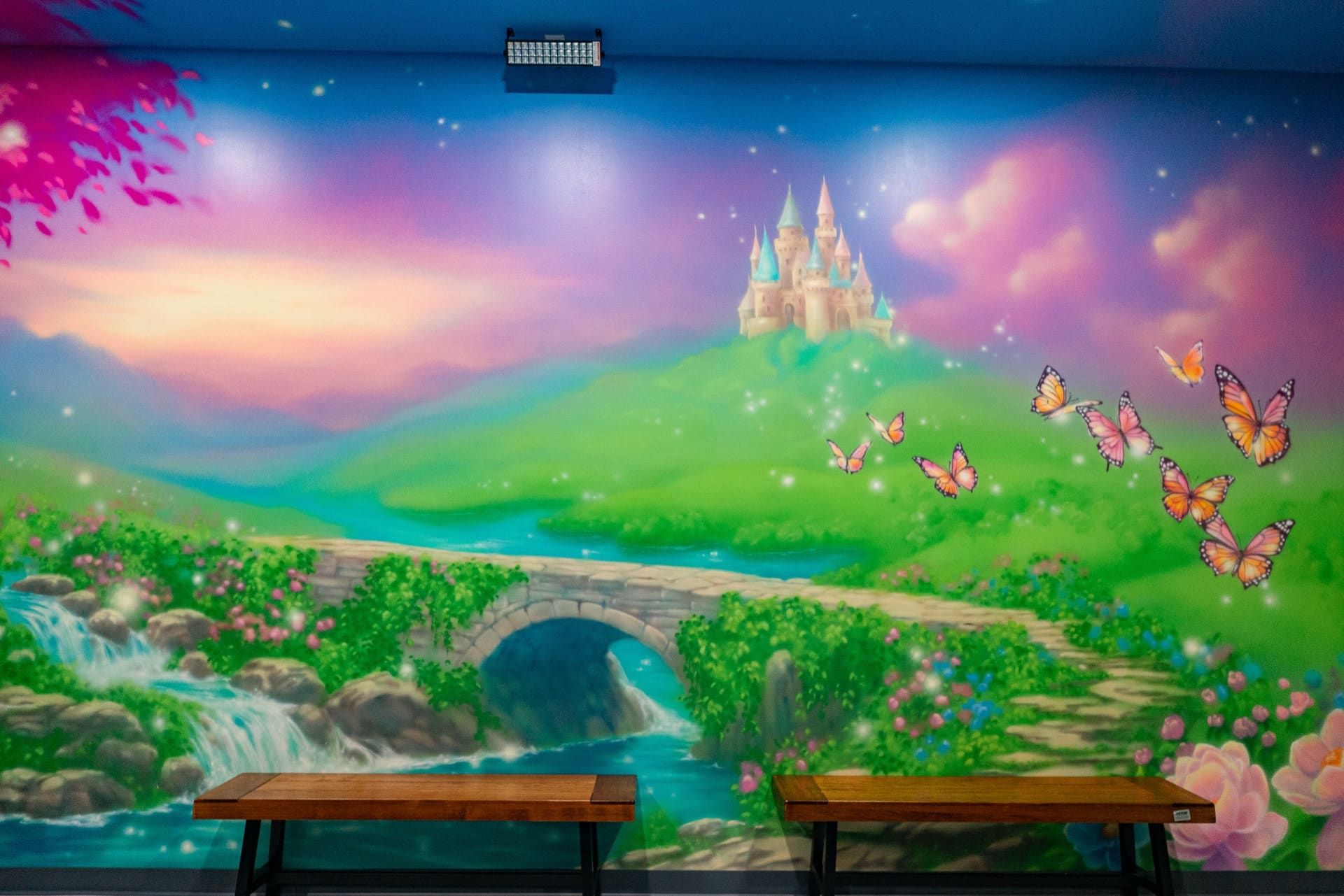 Princess party room, photo 6 of 7
