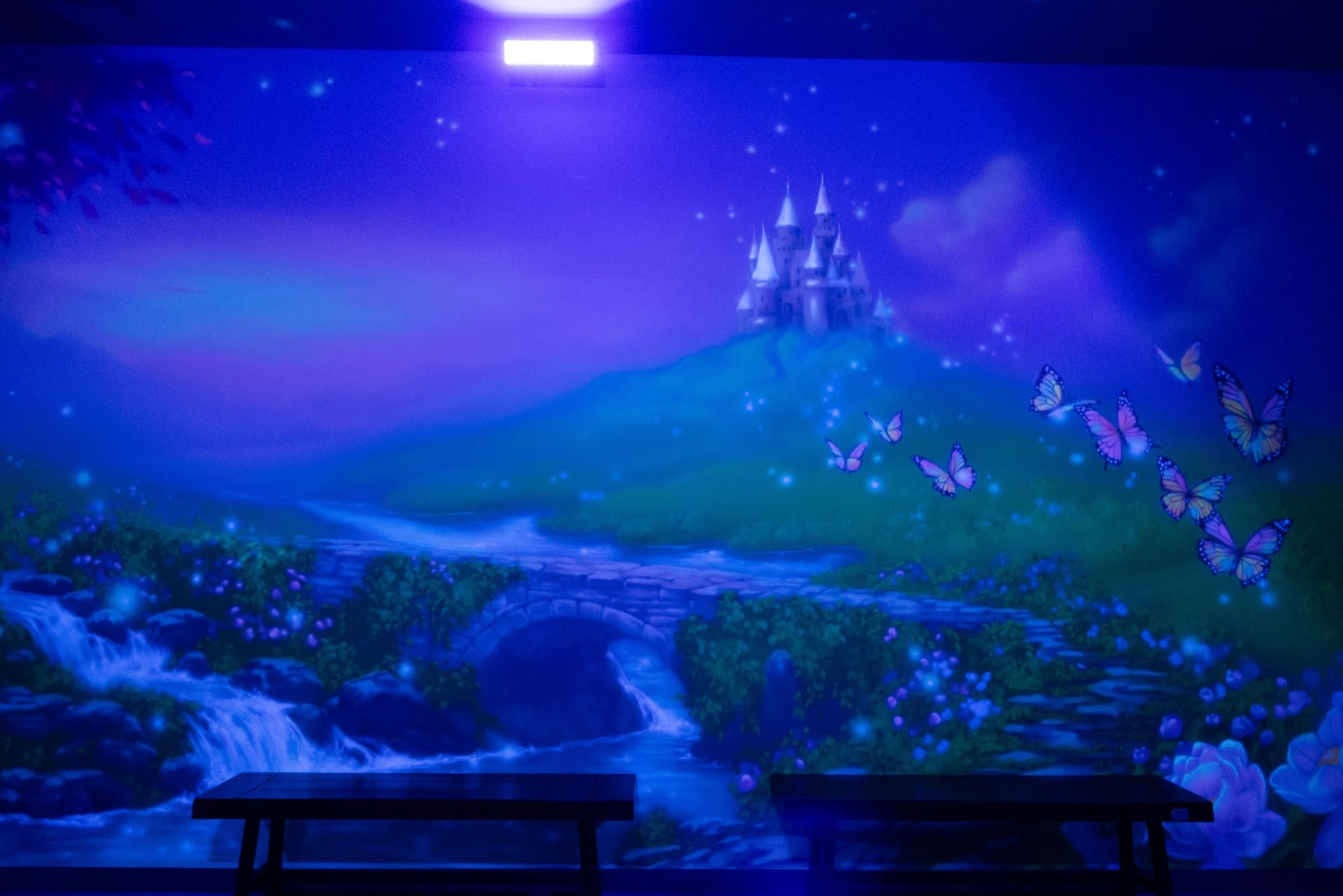 Princess party room, photo 7 of 7