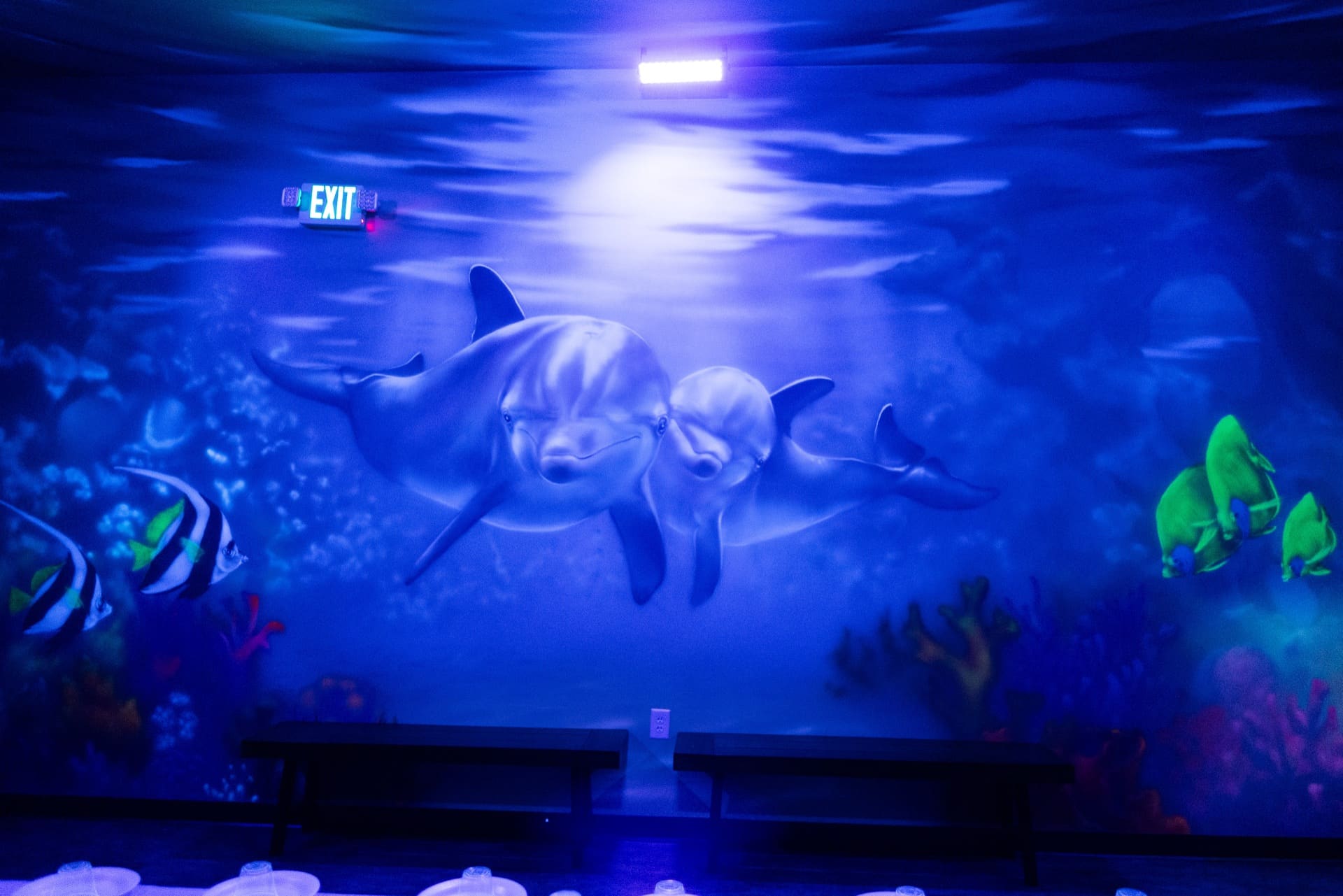 Underwater party room, photo 5 of 8