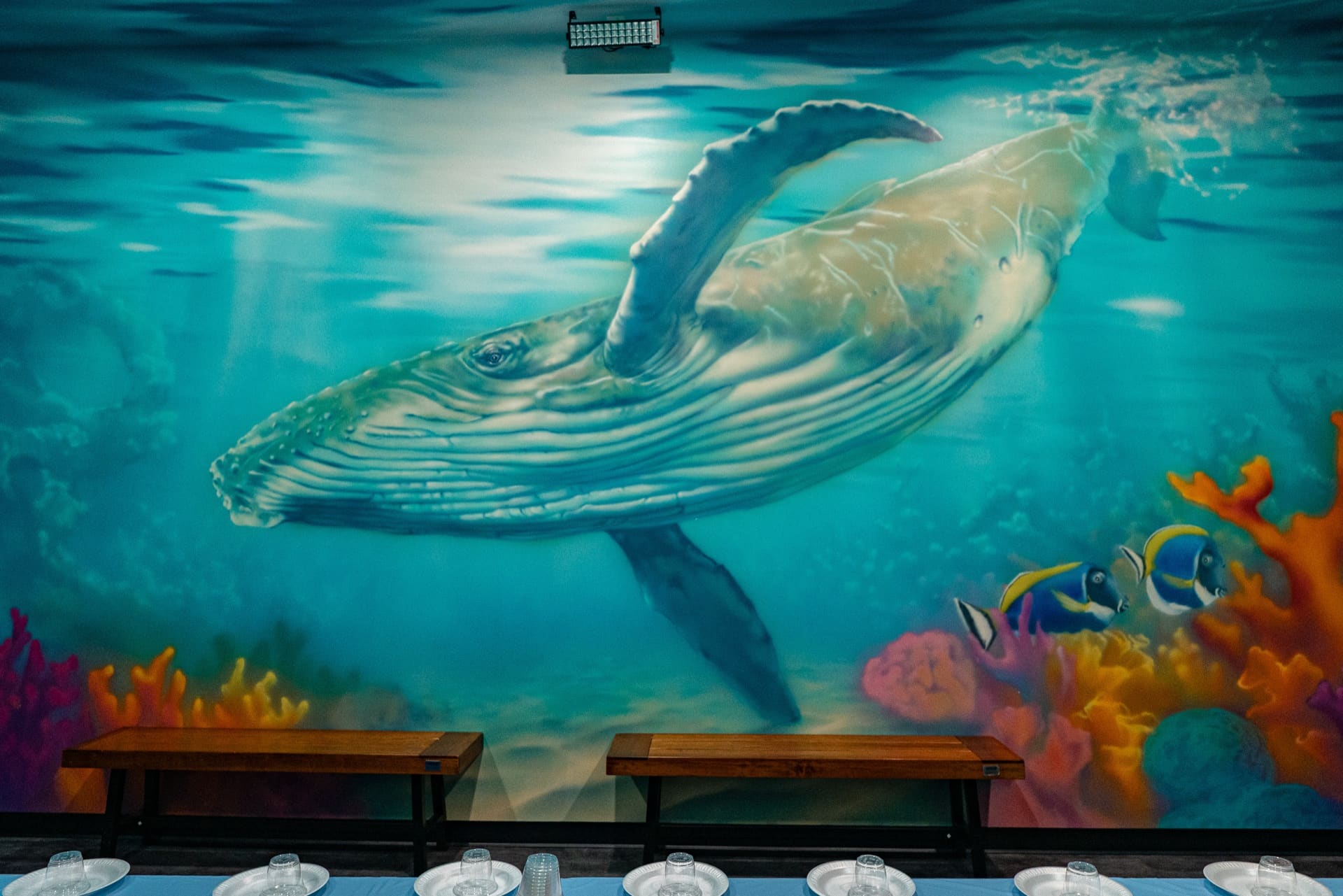 Underwater party room, photo 7 of 8
