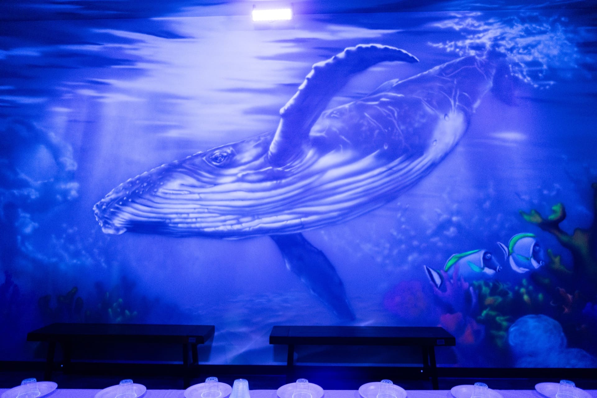 Underwater party room, photo 8 of 8