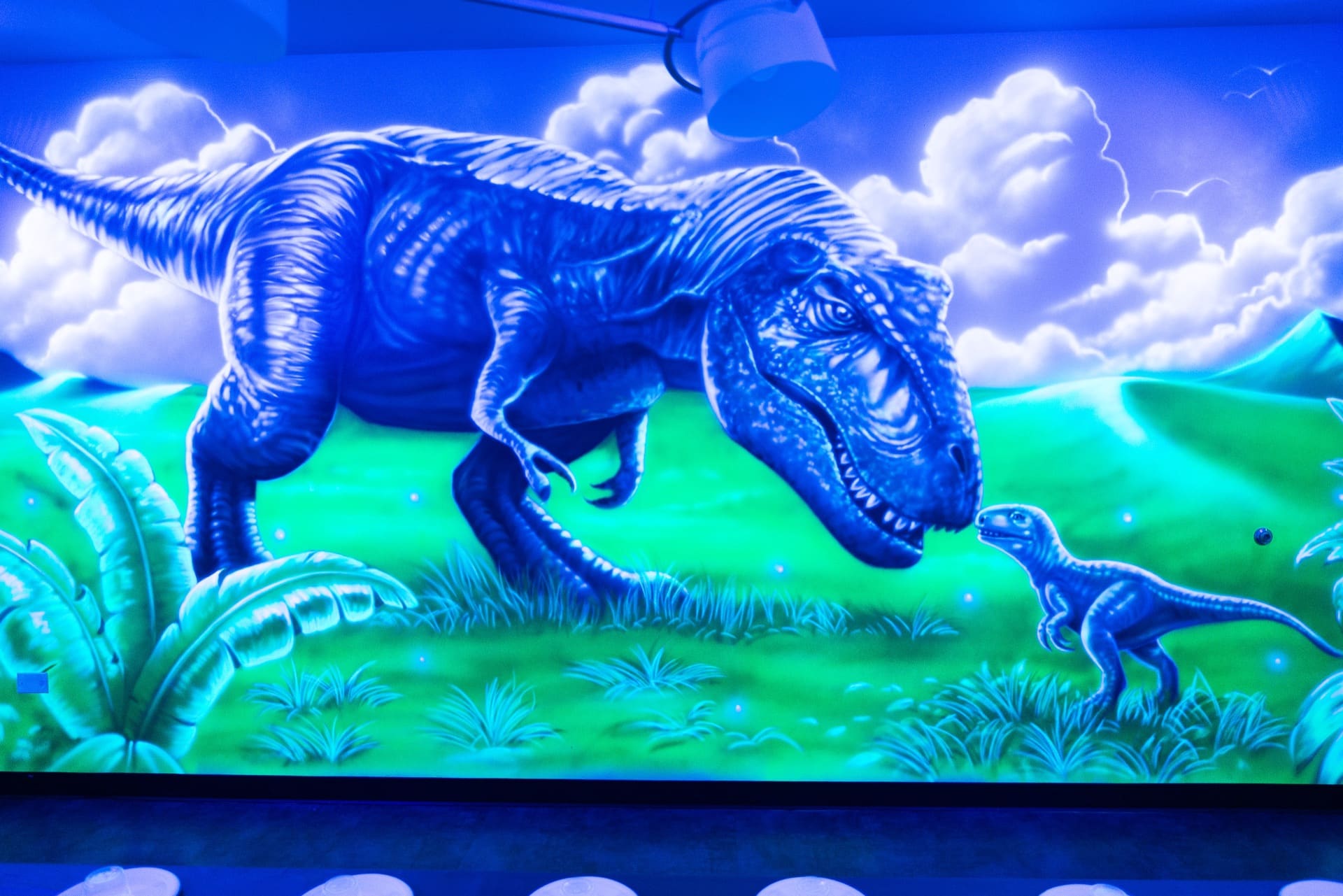 Dinosaur party room, photo 5 of 9