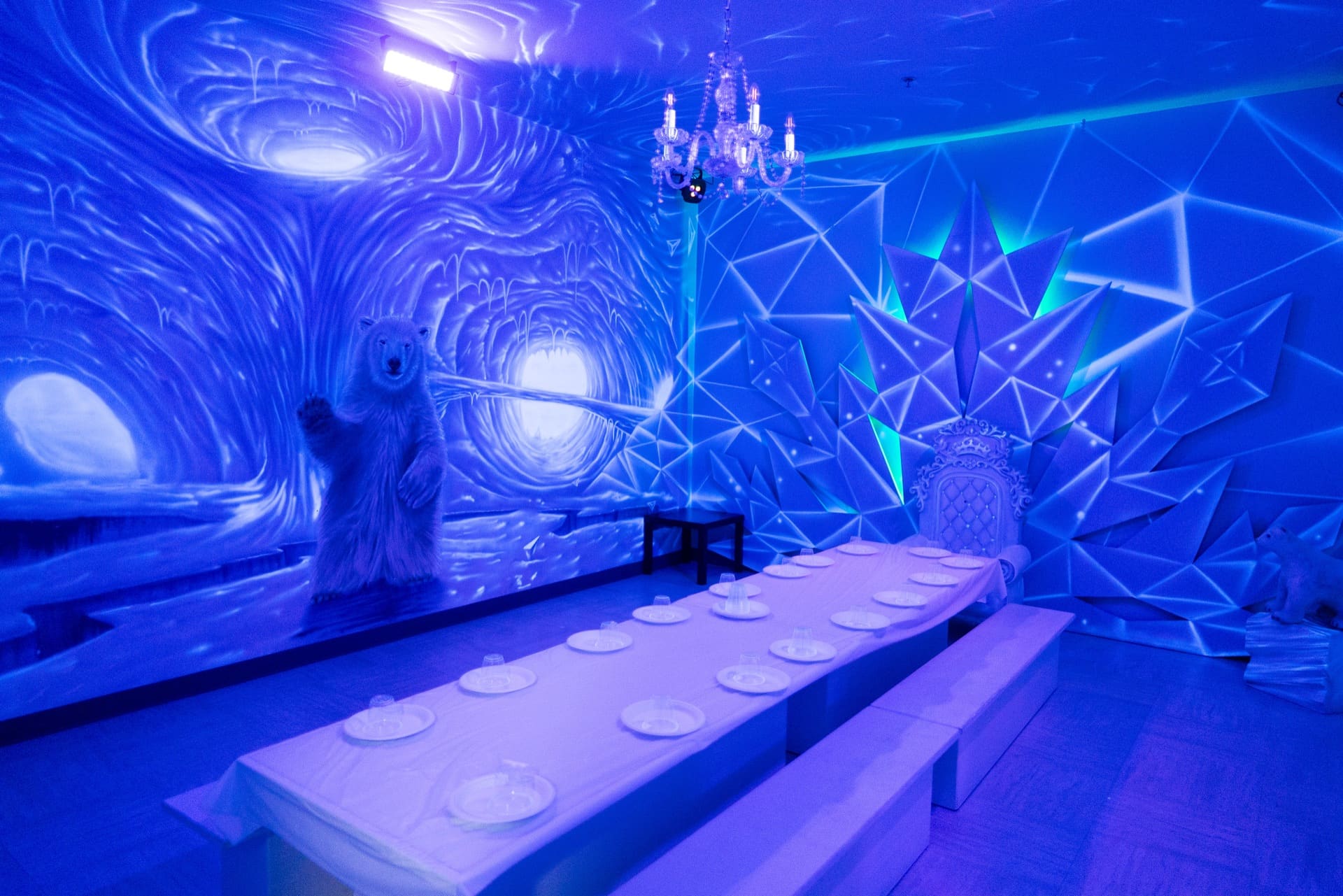 Ice party room, photo 7 of 7