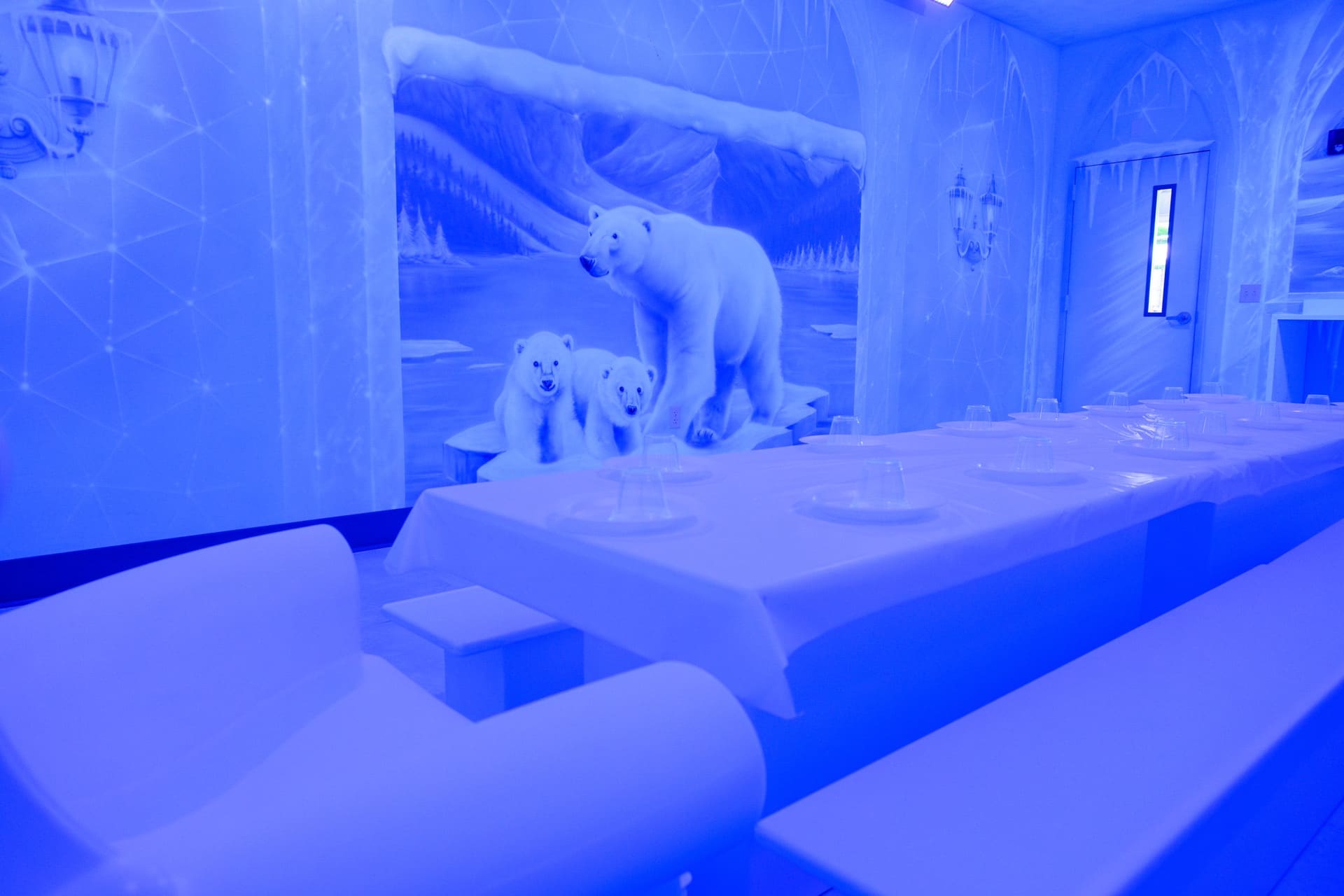Ice party room, photo 2 of 7