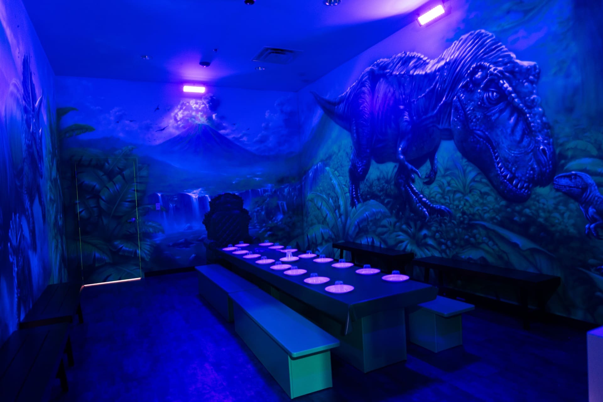 Dinosaur party room, photo 2 of 8
