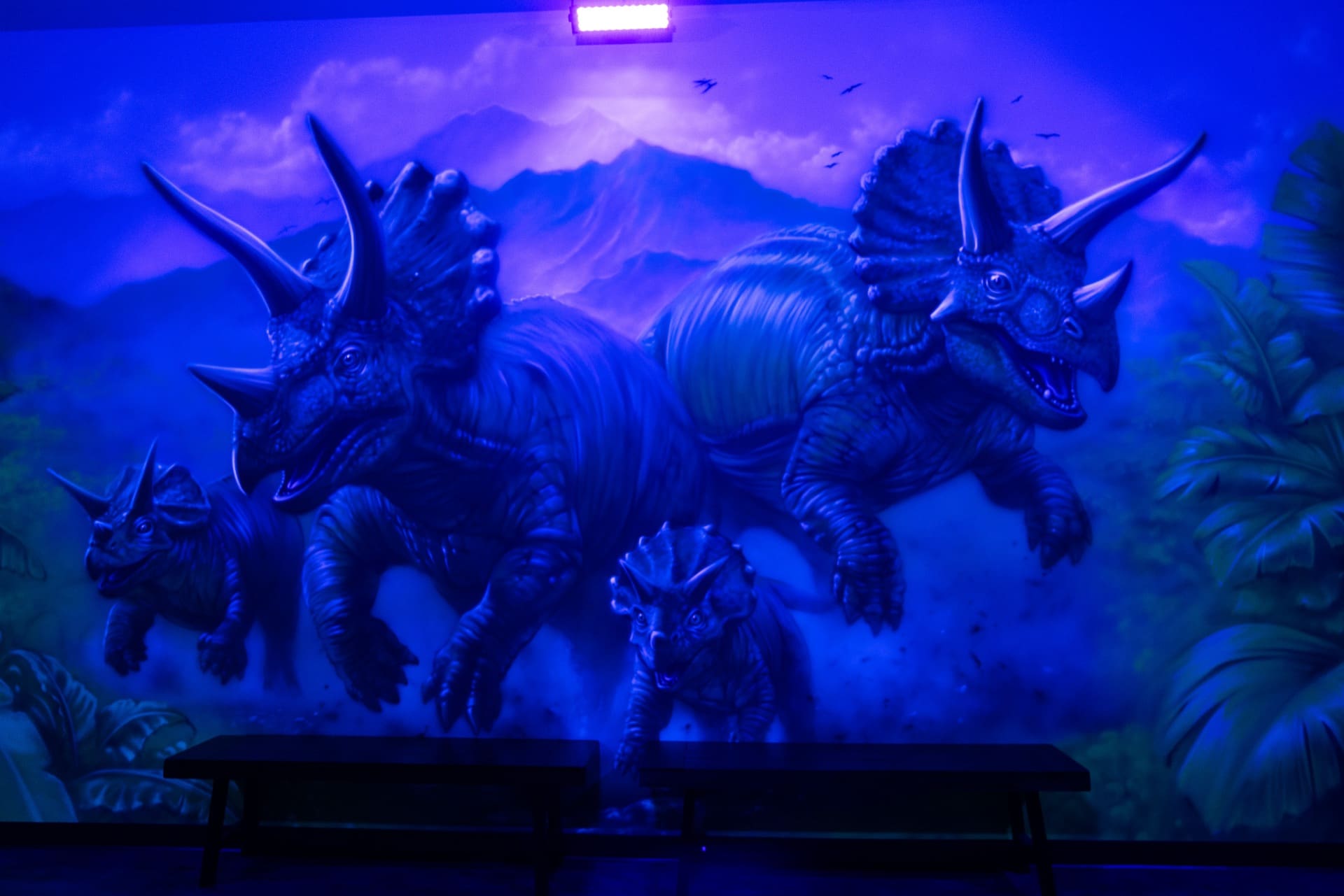 Dinosaur party room, photo 8 of 8