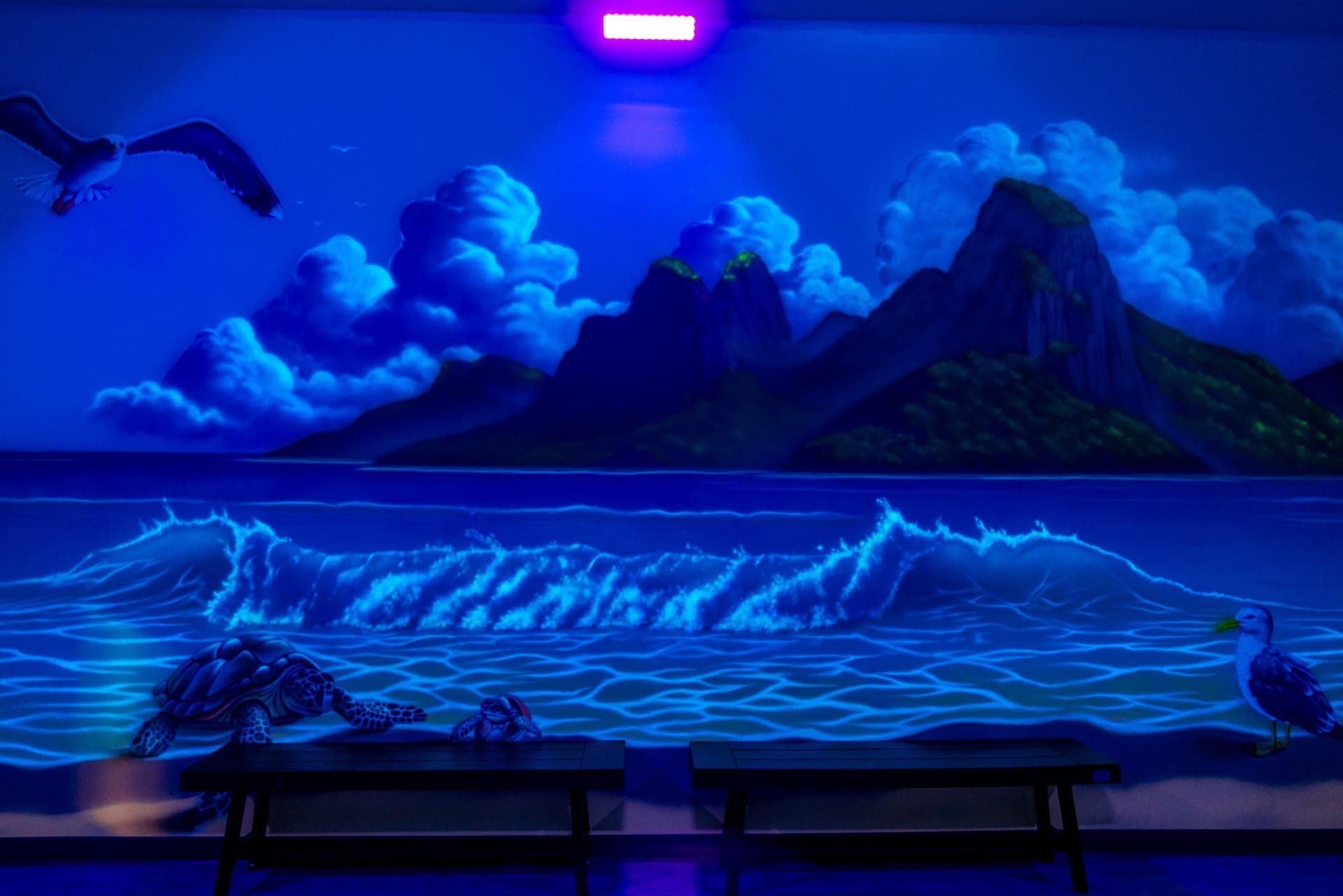 Jungle party room, photo 7 of 7