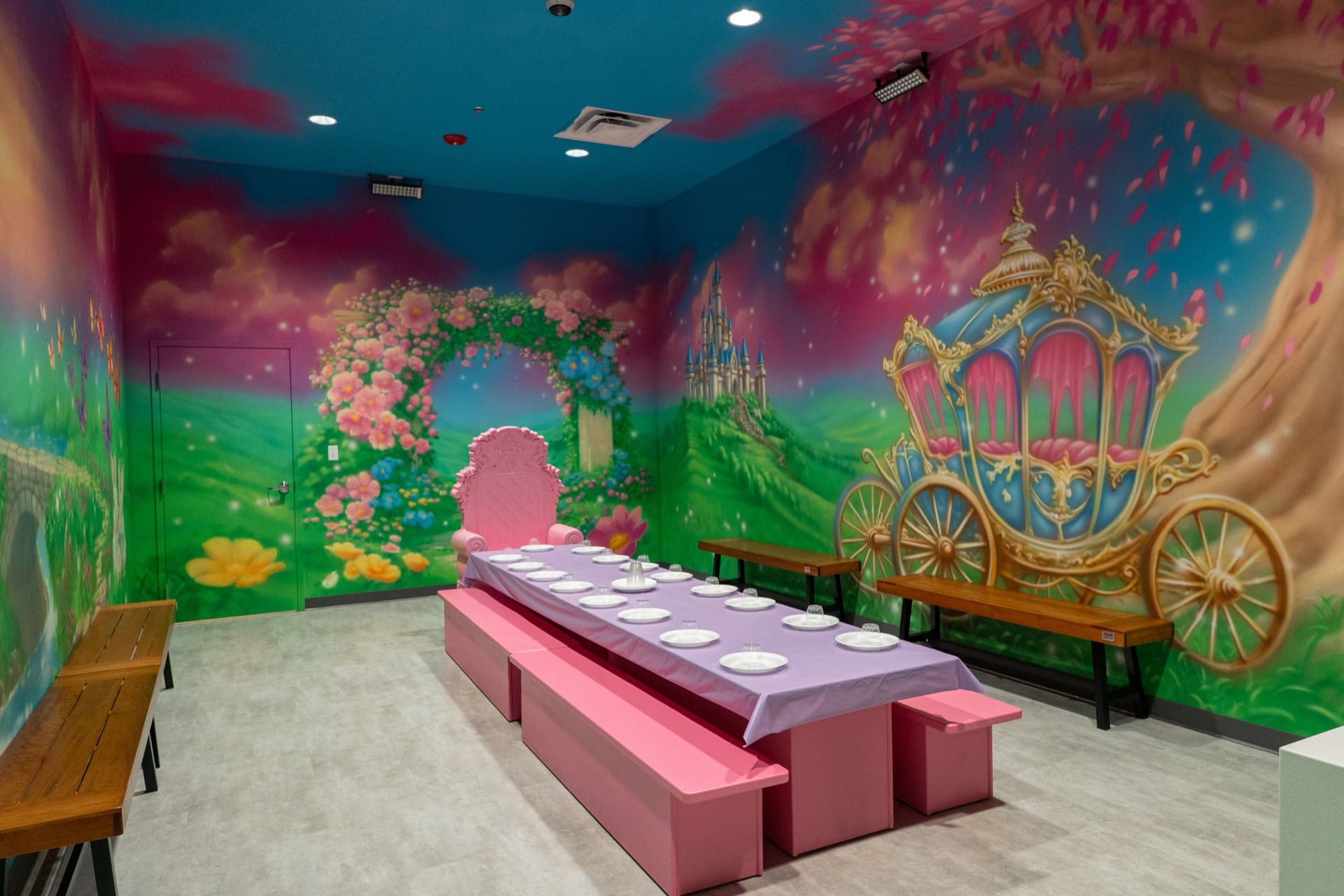 Princess party room, photo 1 of 9