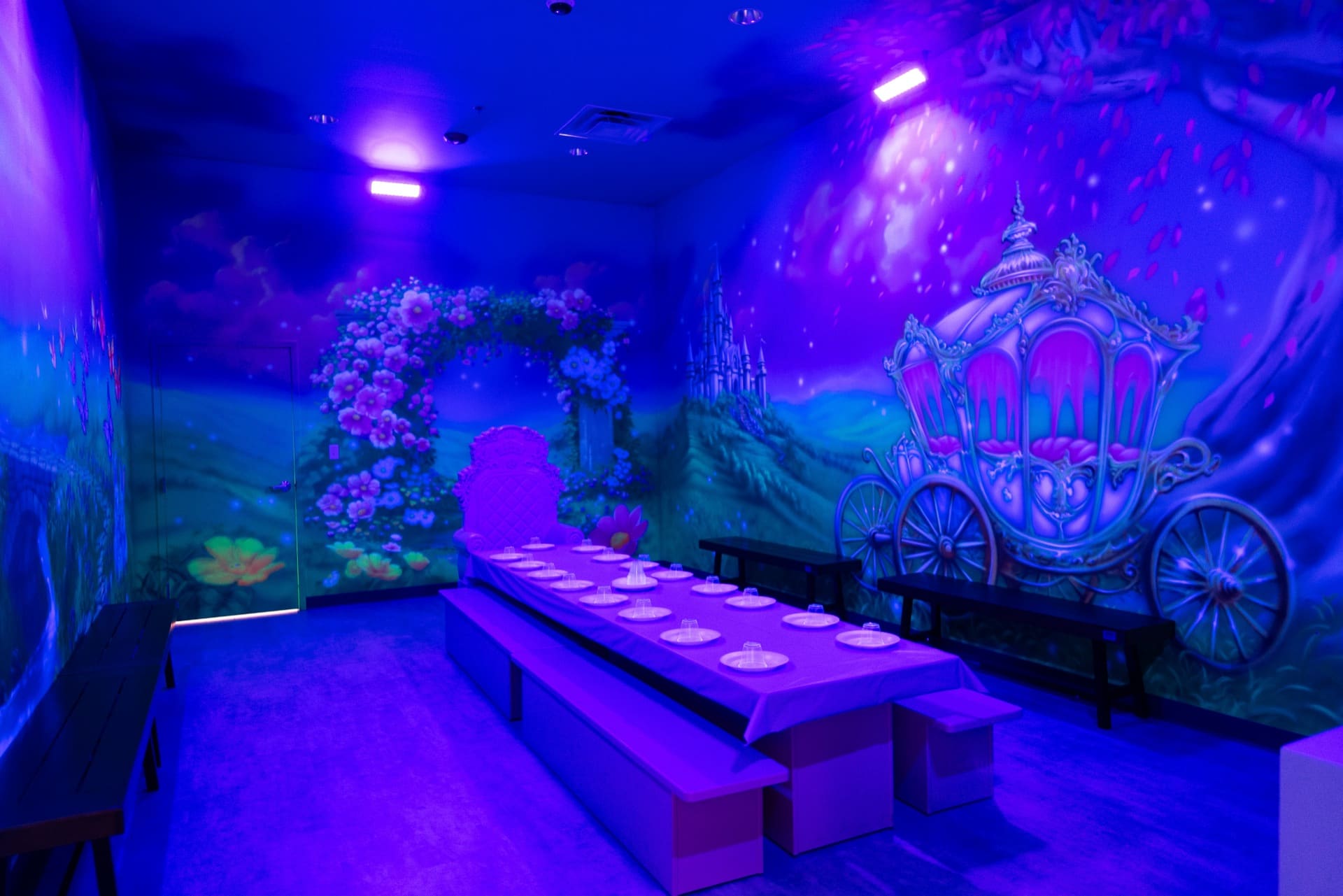 Princess party room, photo 2 of 9