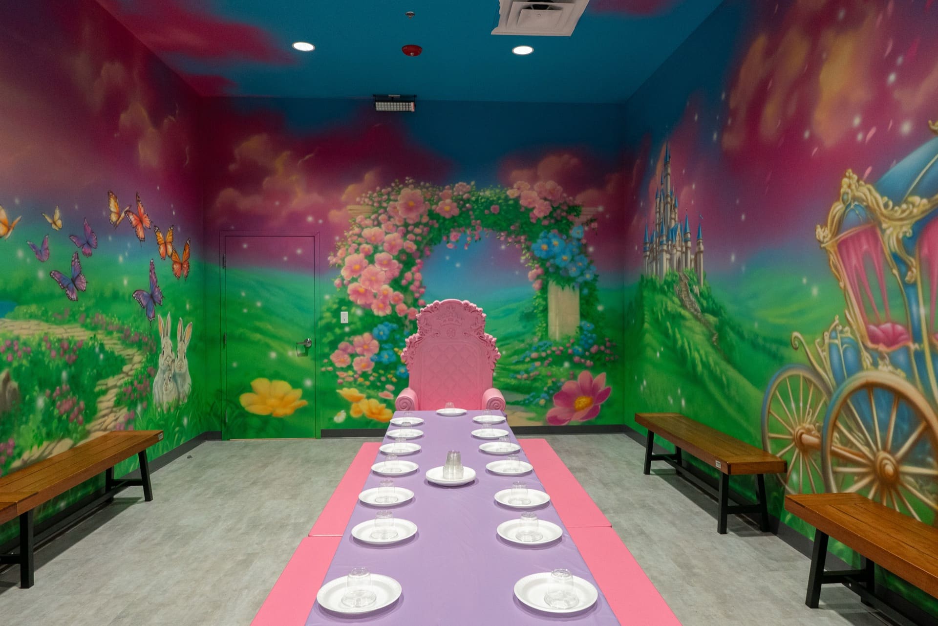 Princess party room, photo 3 of 9