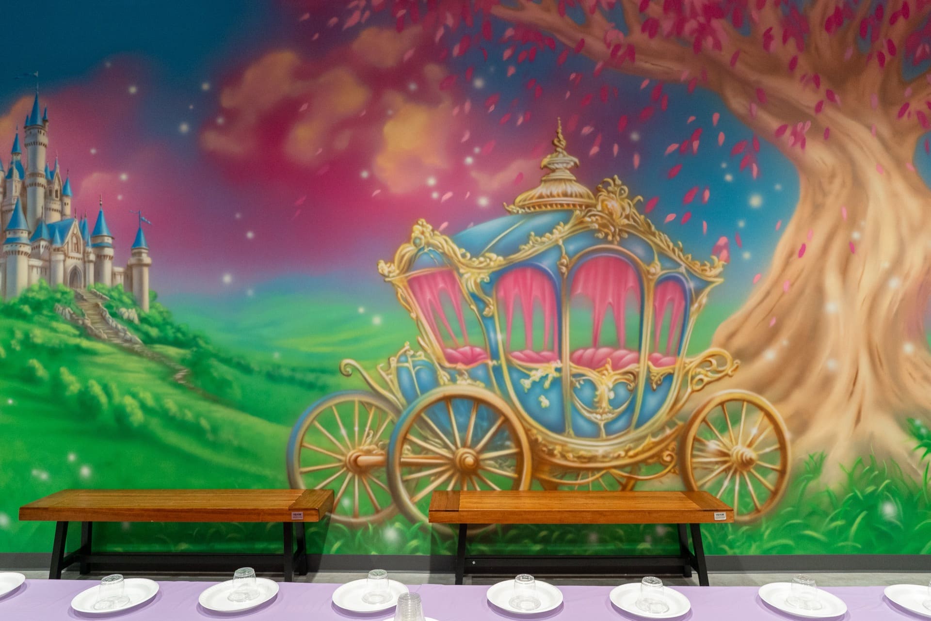 Princess party room, photo 4 of 9