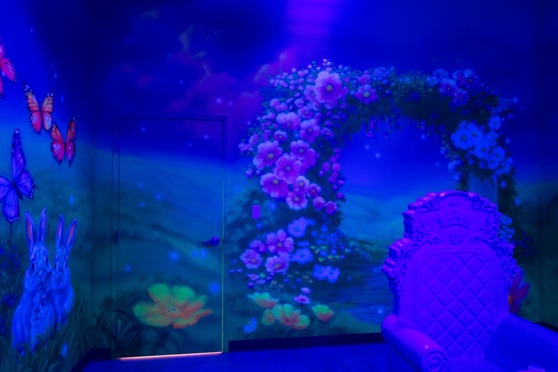 Princess party room, photo 5 of 9