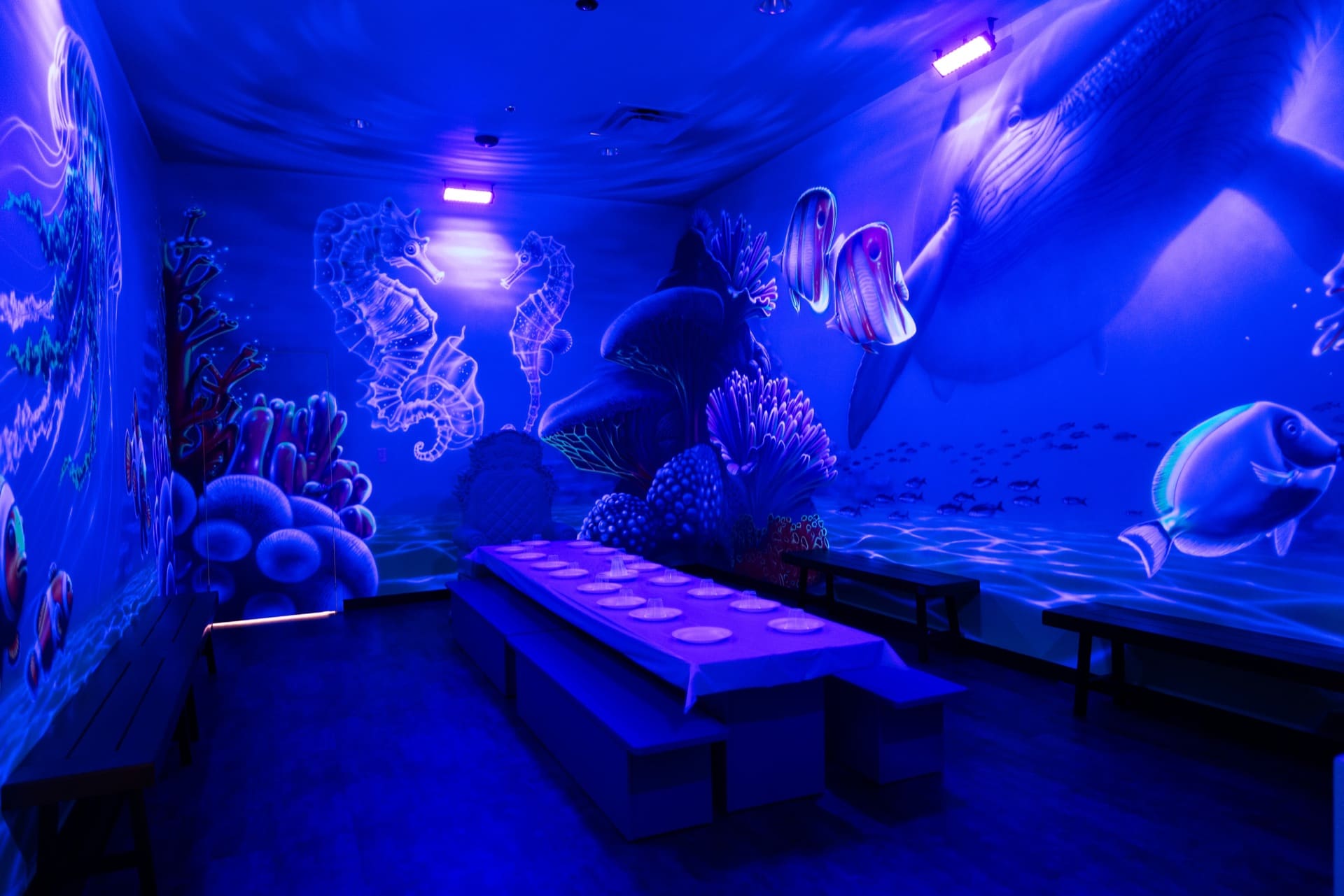 Underwater party room, photo 2 of 11