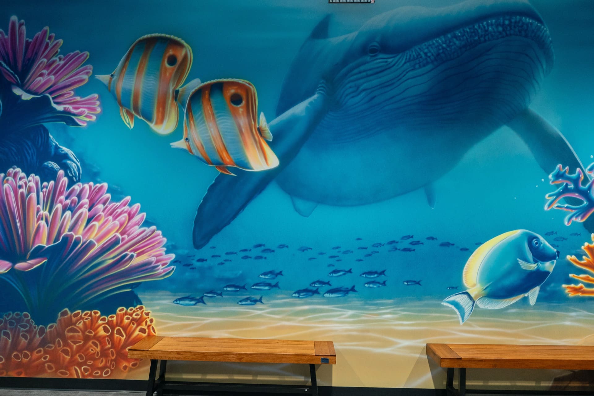 Underwater party room, photo 5 of 11