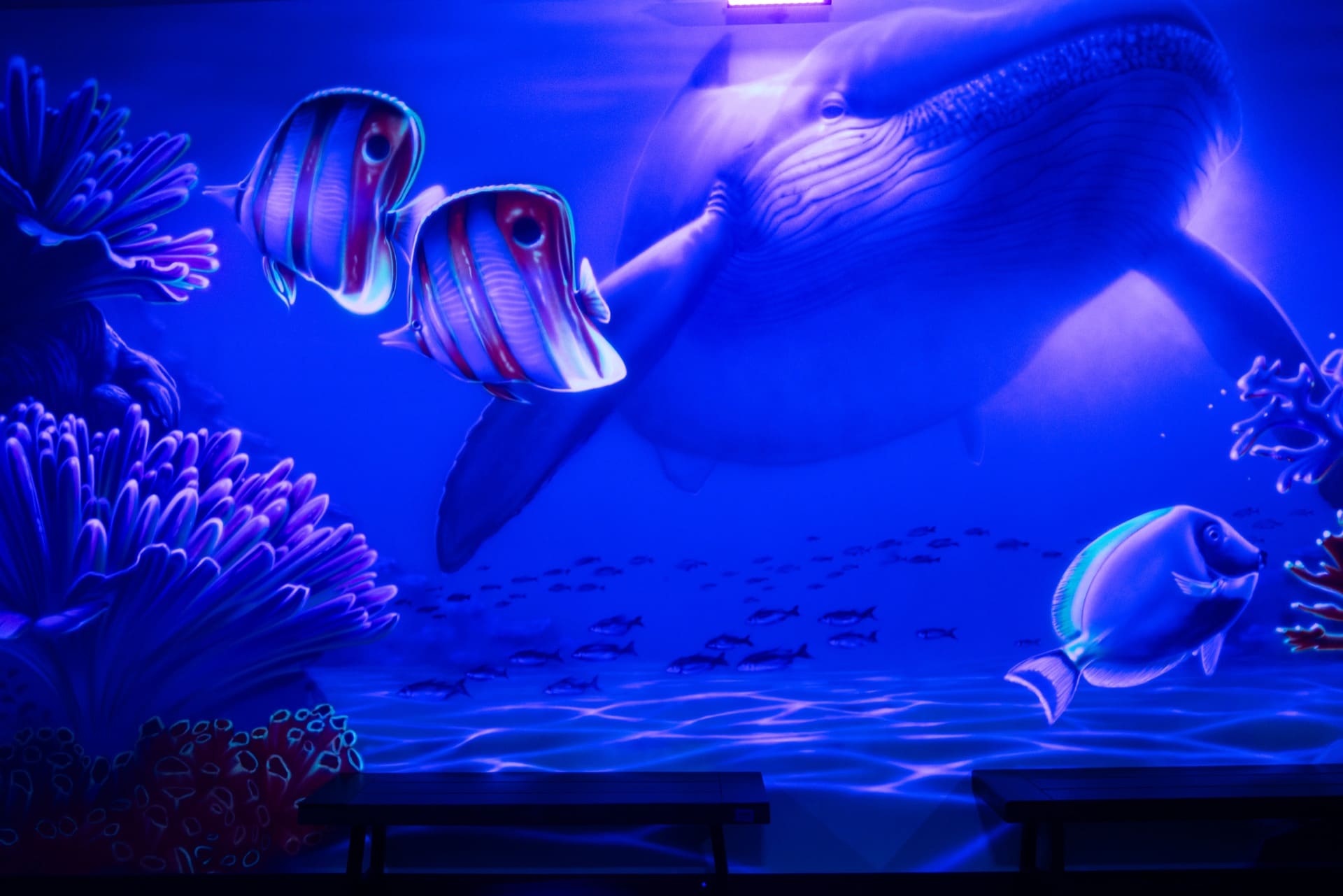 Underwater party room, photo 6 of 11