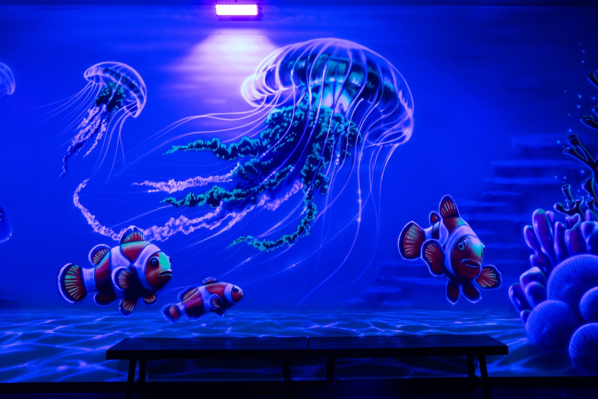 Underwater party room, photo 9 of 11