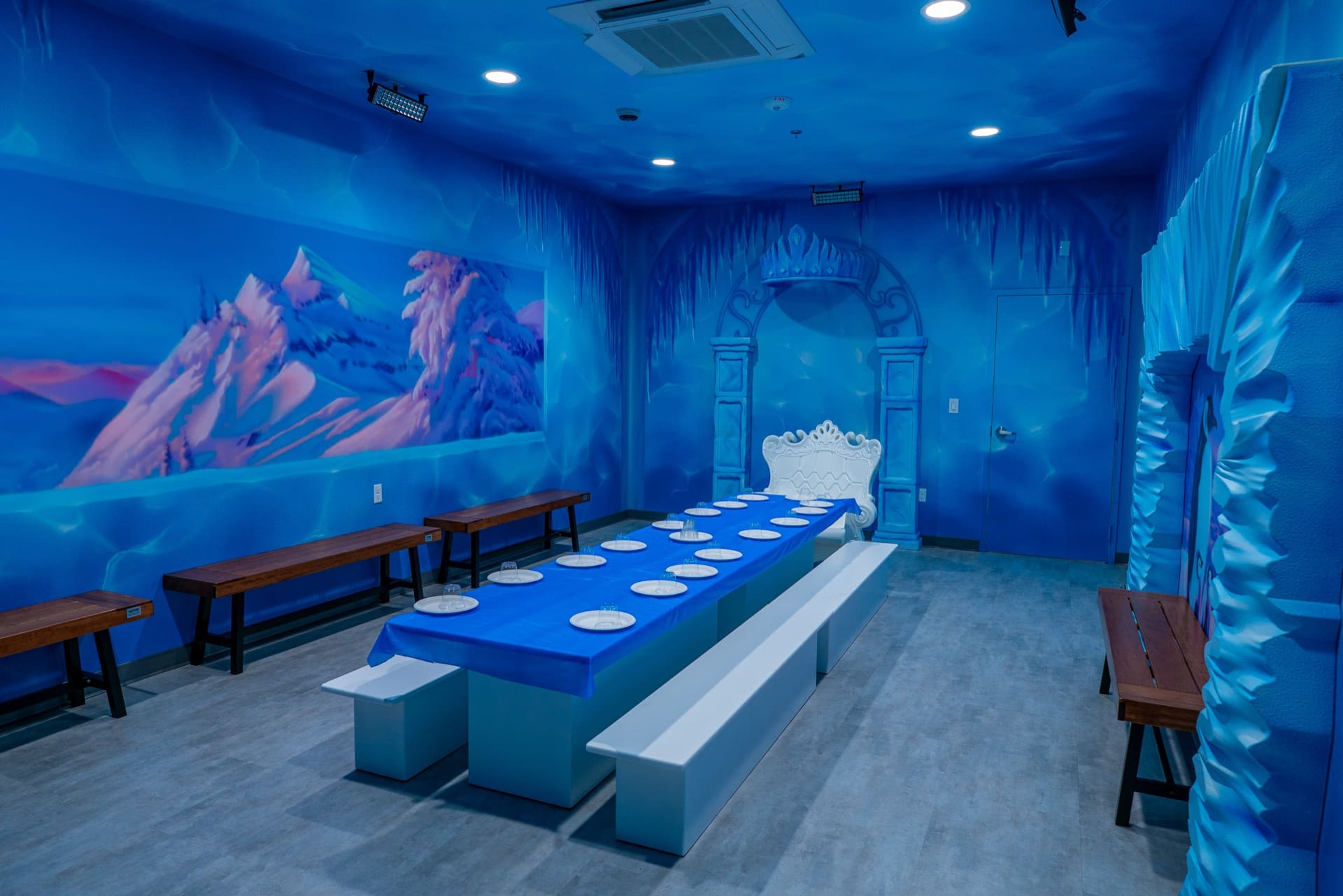 Ice party room, photo 1 of 6