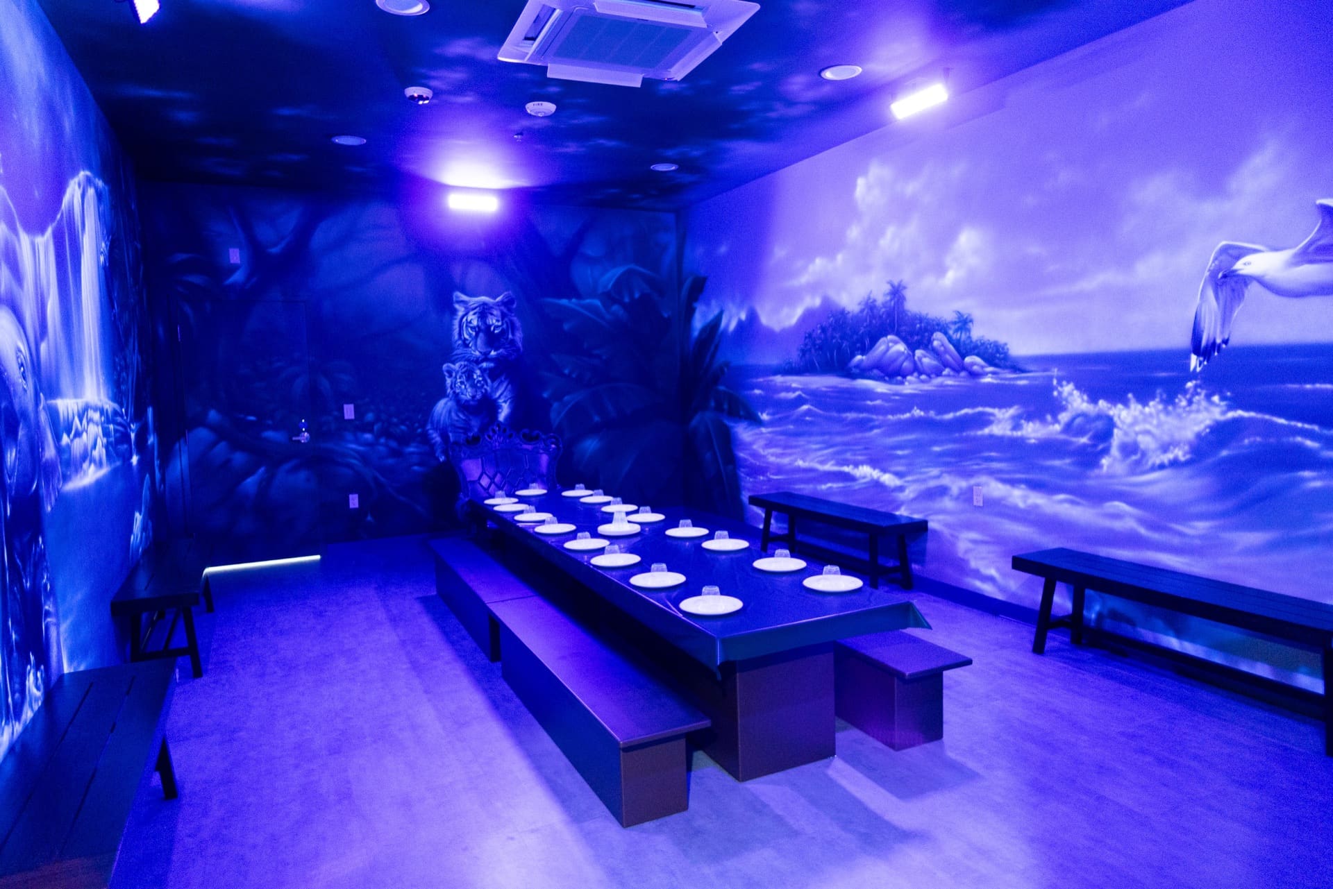 Jungle party room, photo 2 of 7