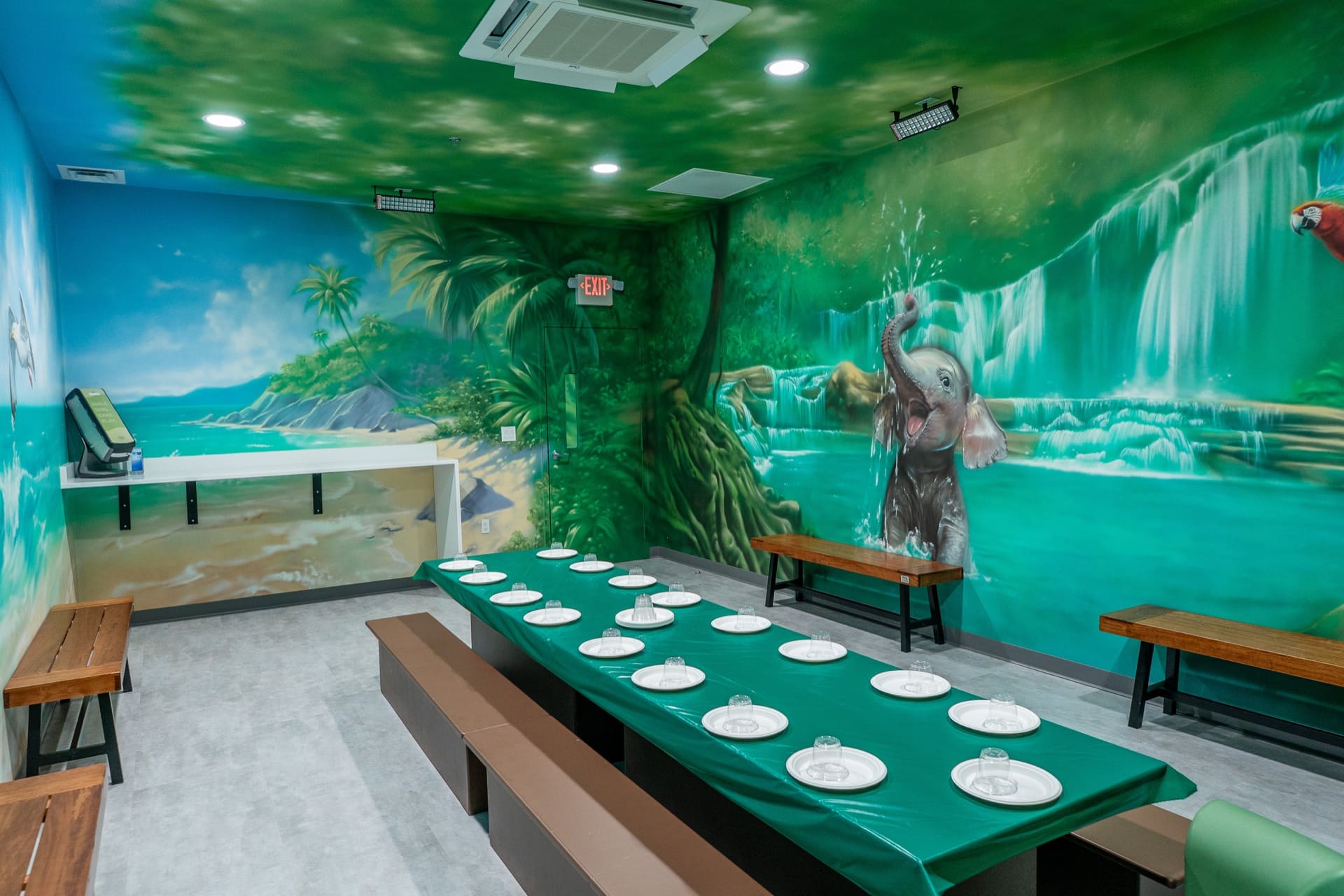 Jungle party room, photo 3 of 7
