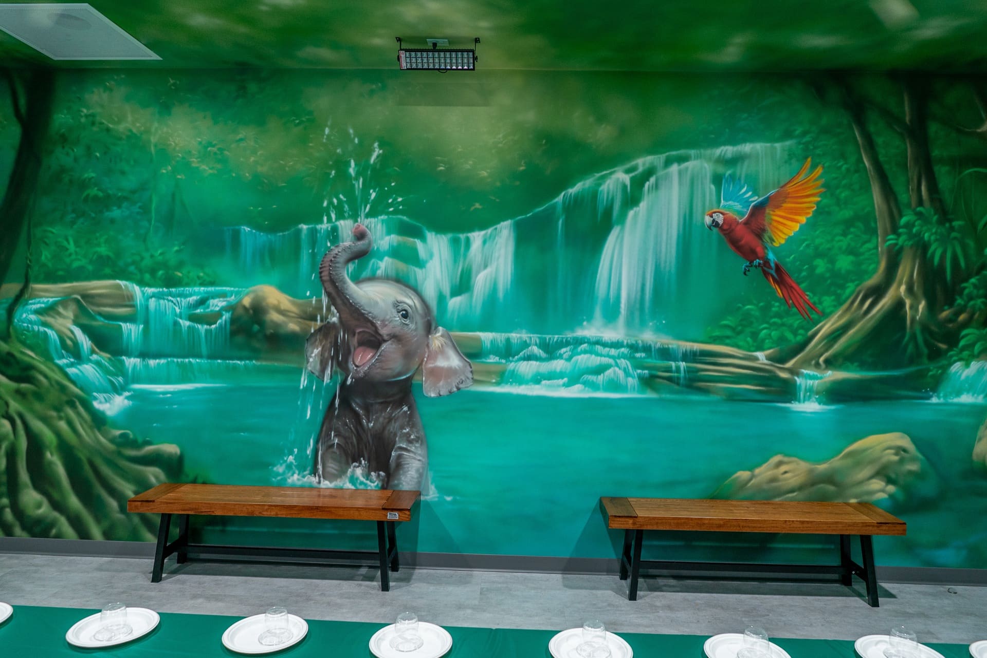 Jungle party room, photo 4 of 7