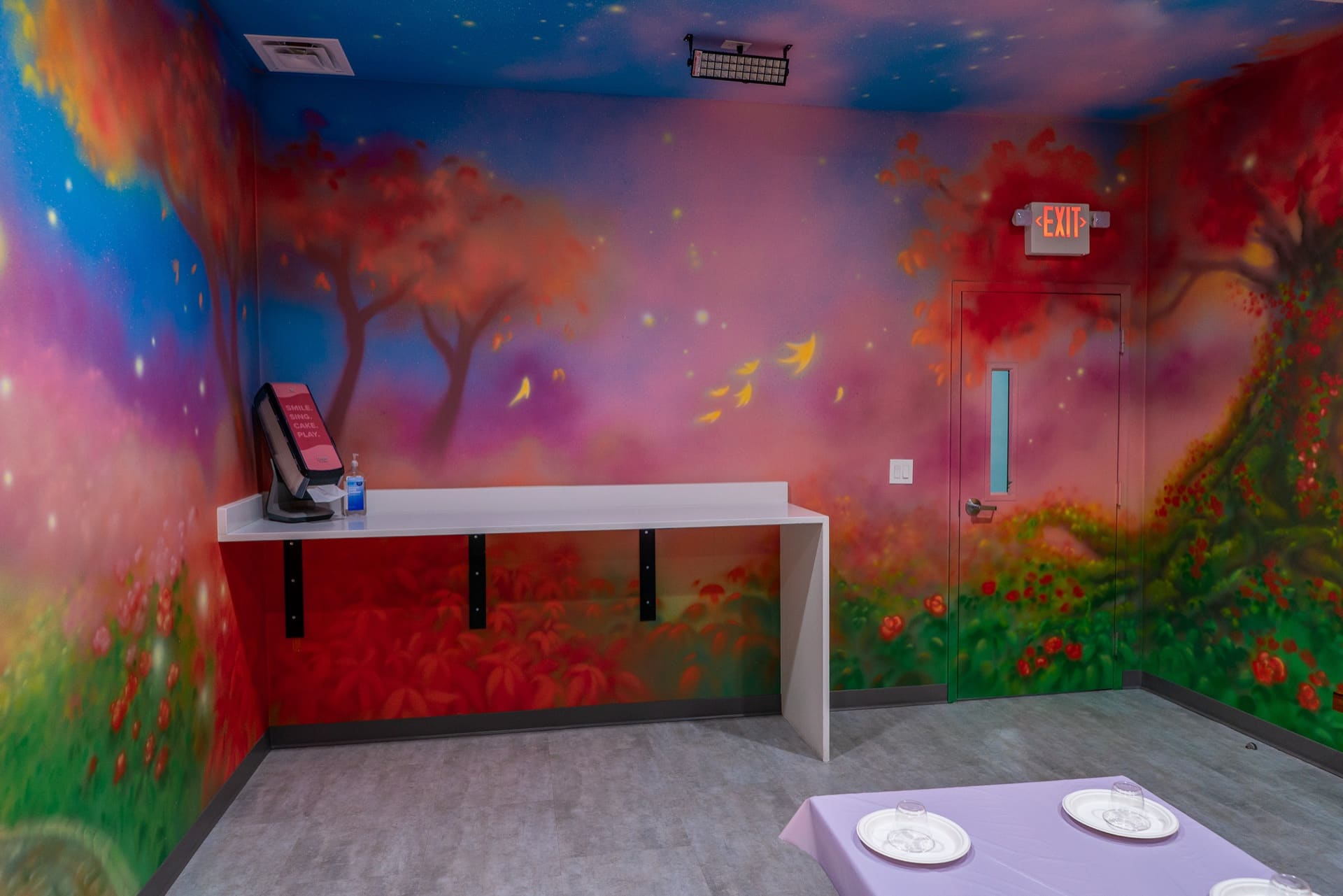 Princess party room, photo 3 of 6