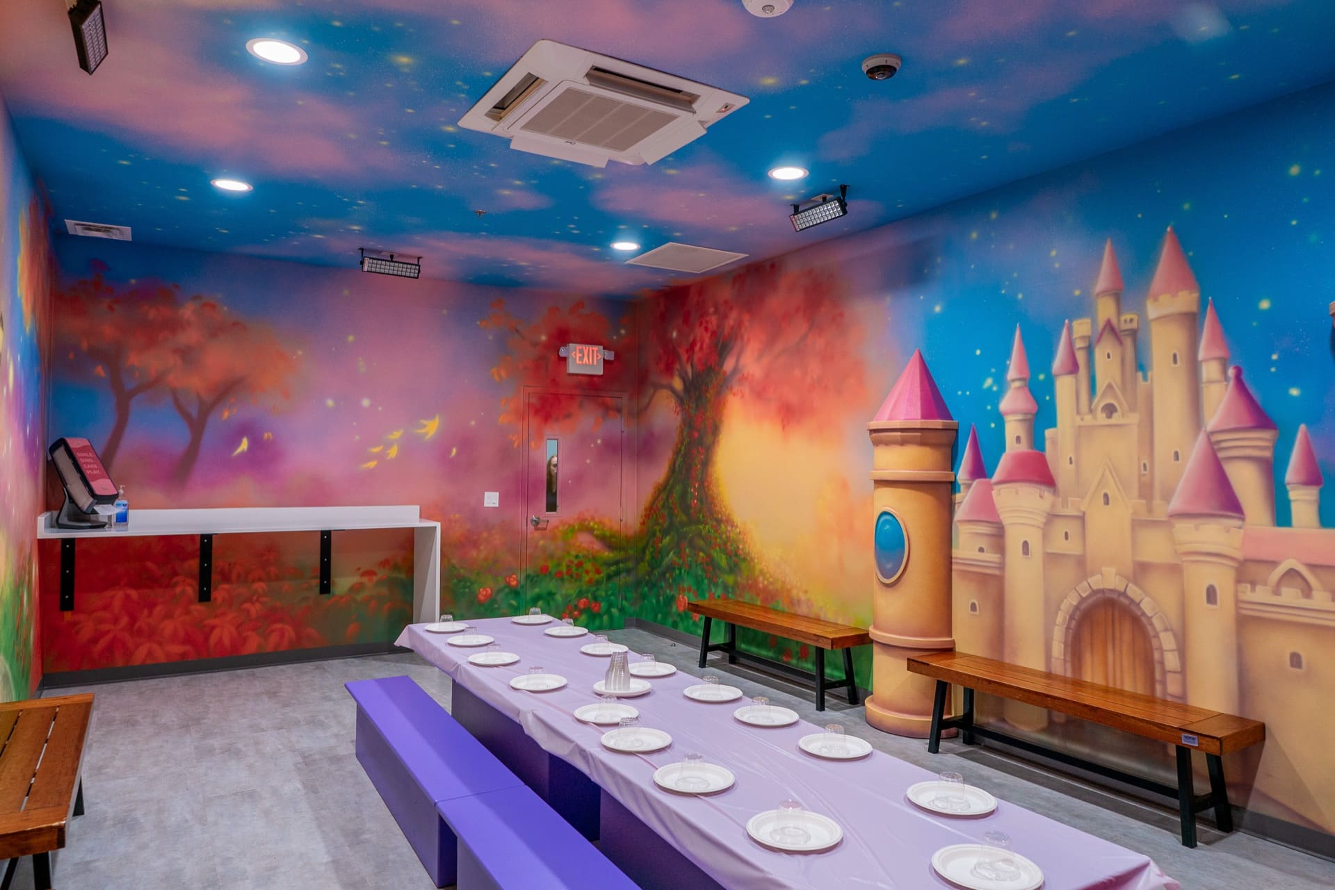 Princess party room, photo 6 of 6