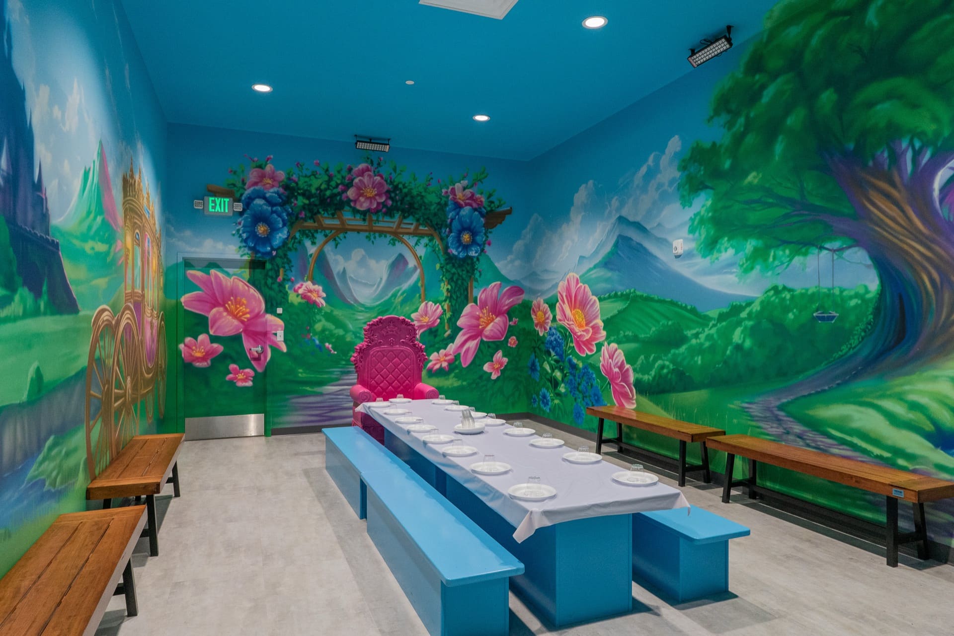 Princess party room, photo 1 of 11
