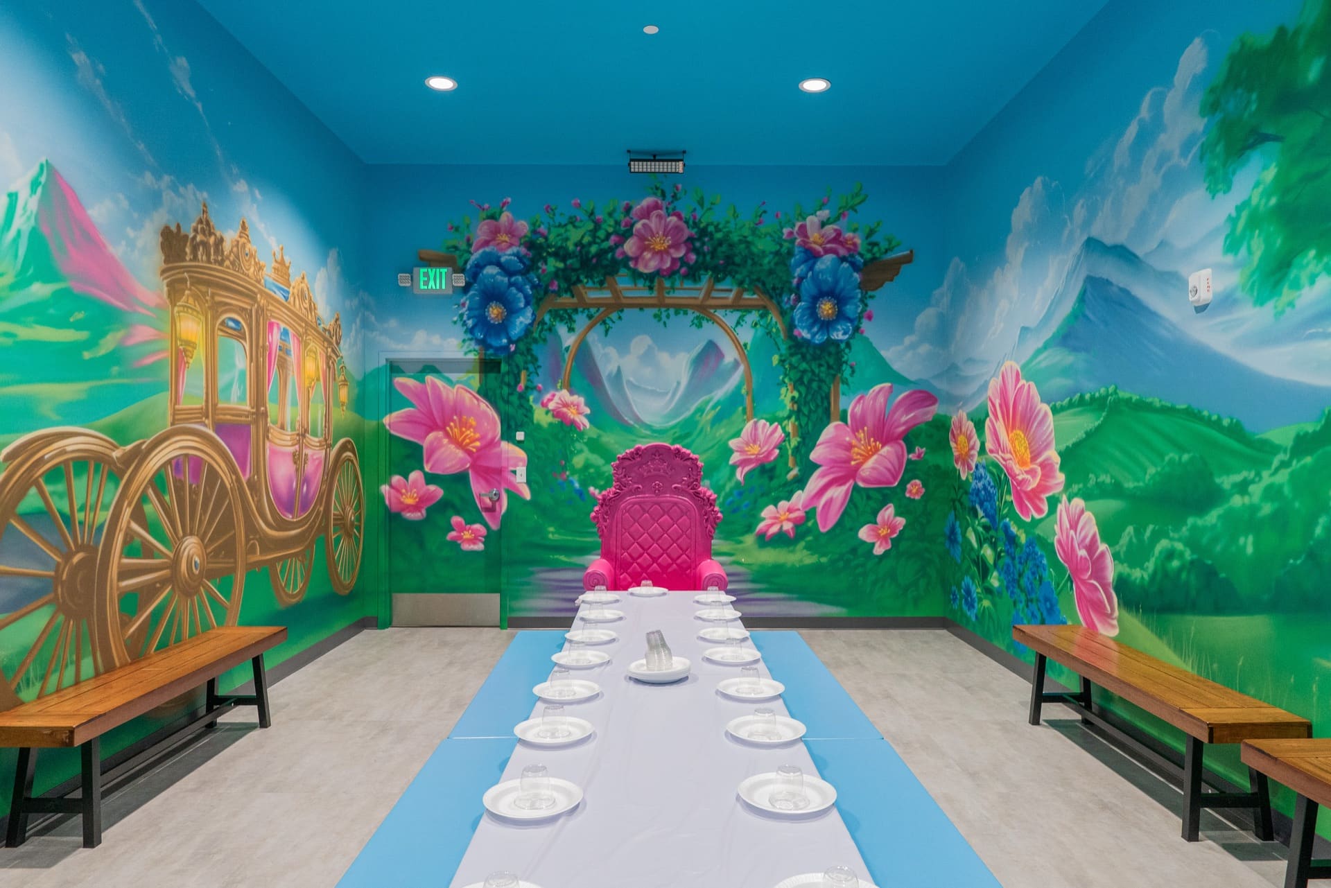 Princess party room, photo 4 of 11