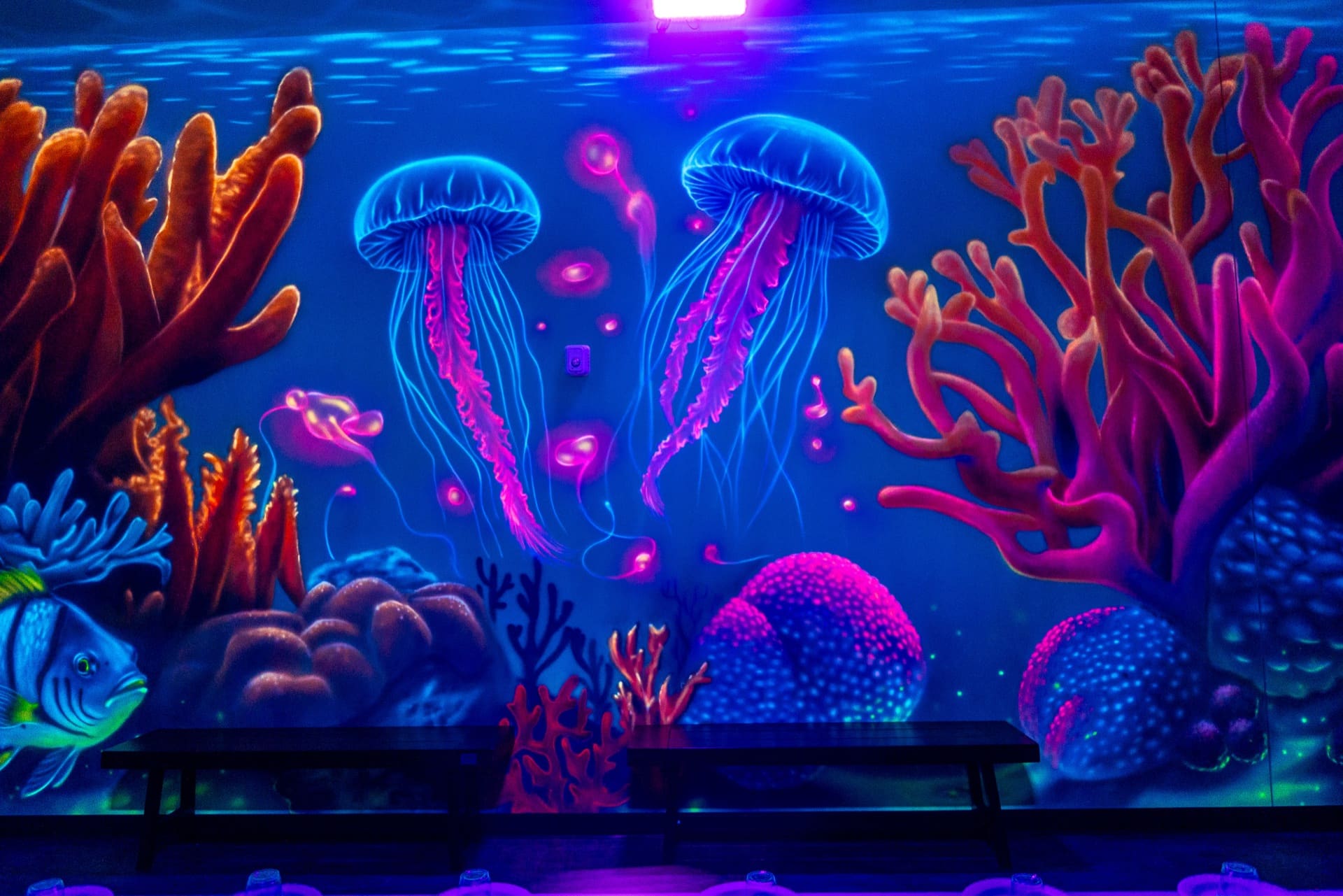 Underwater party room, photo 4 of 8