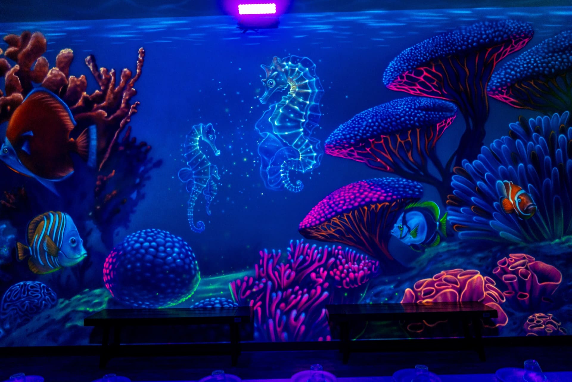 Underwater party room, photo 6 of 8