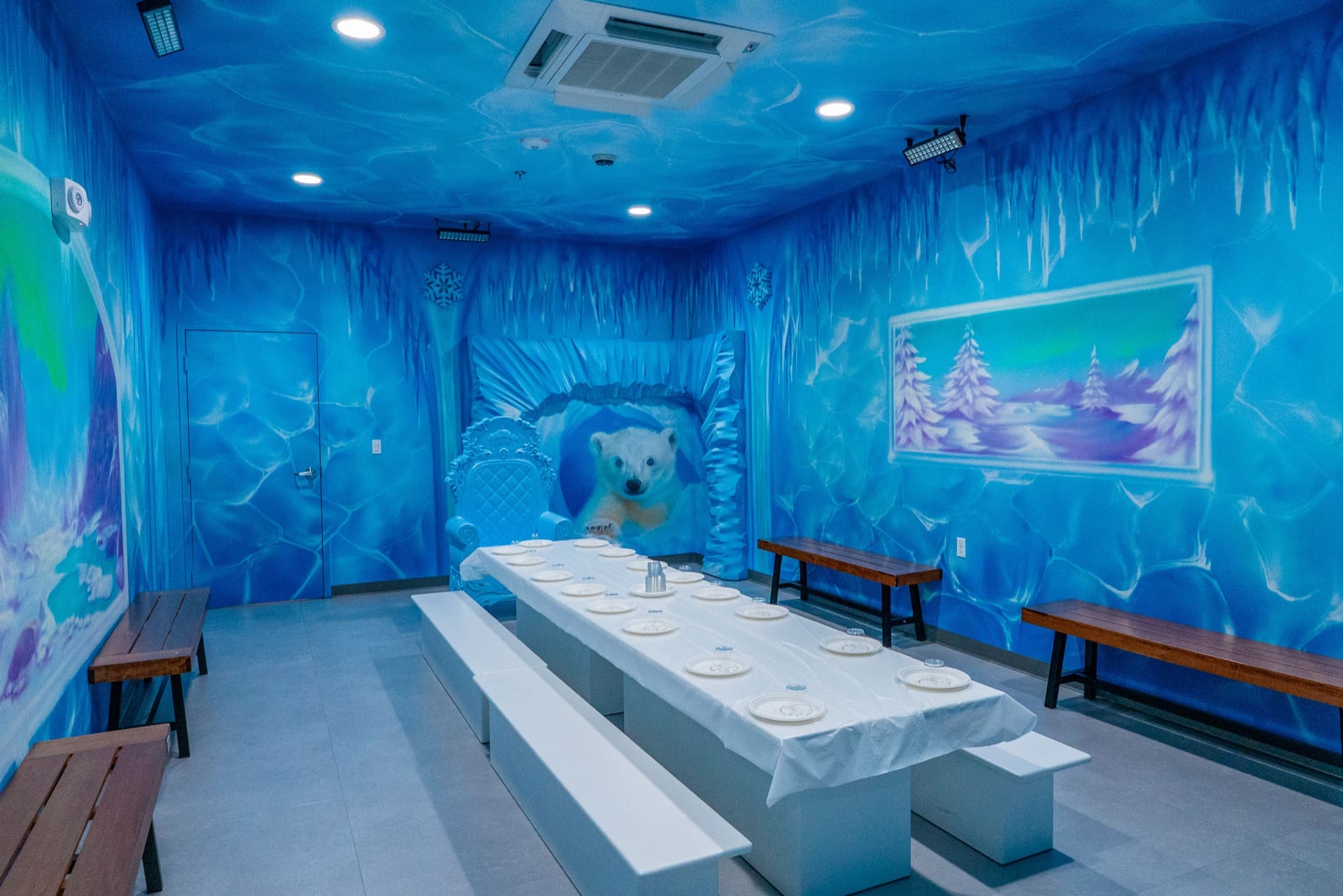 Ice party room, photo 1 of 6
