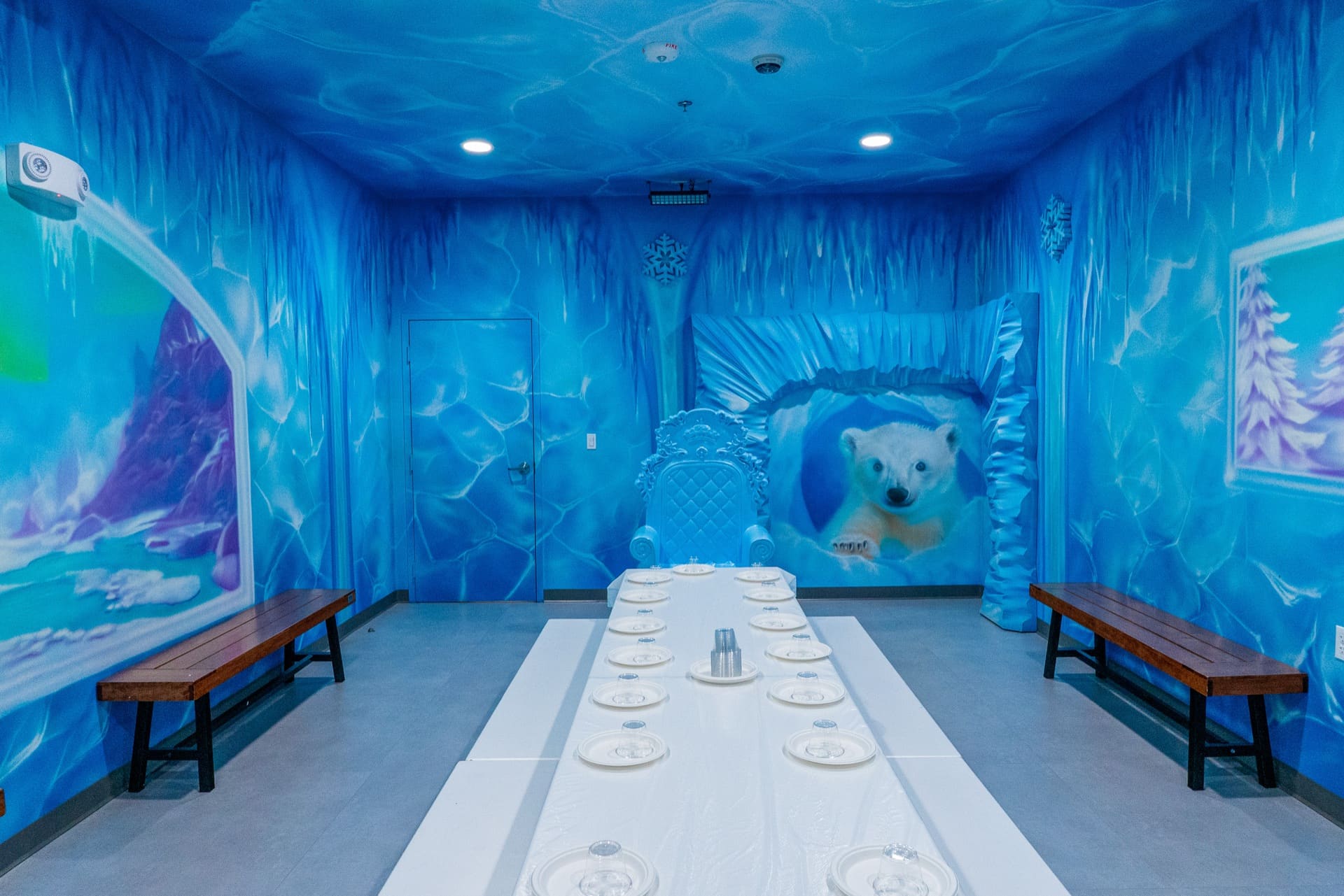 Ice party room, photo 2 of 6